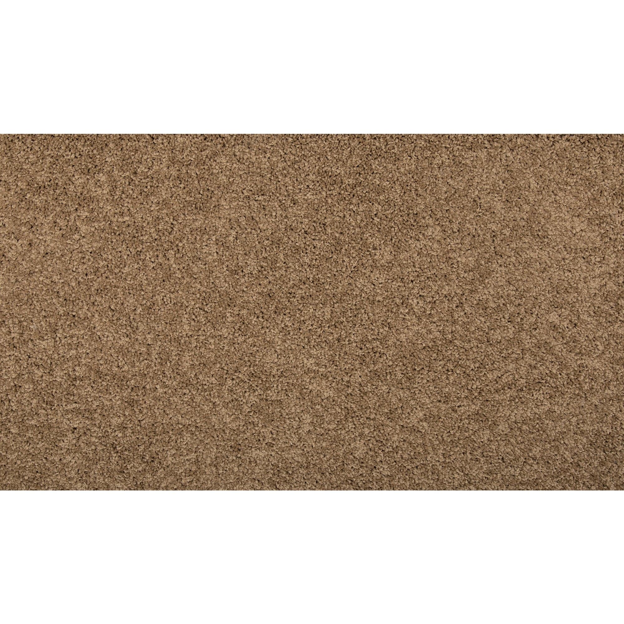Memorable Touch II Capon Brown 50-oz sq yard Solution-dyed polyester Textured Indoor Carpet