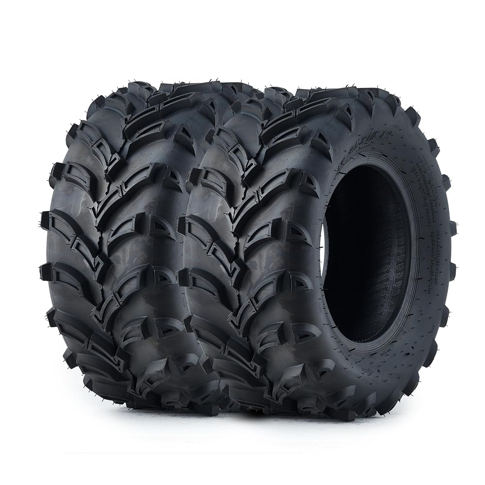 Garvee ATV Tires/UTV Tires, 25x10x12 ATV Tire(250/65-12) TL, 6PR Four Wheeler Tires Set 2,Trail Mud Sand Off-Road Sport Tires,Tubeless