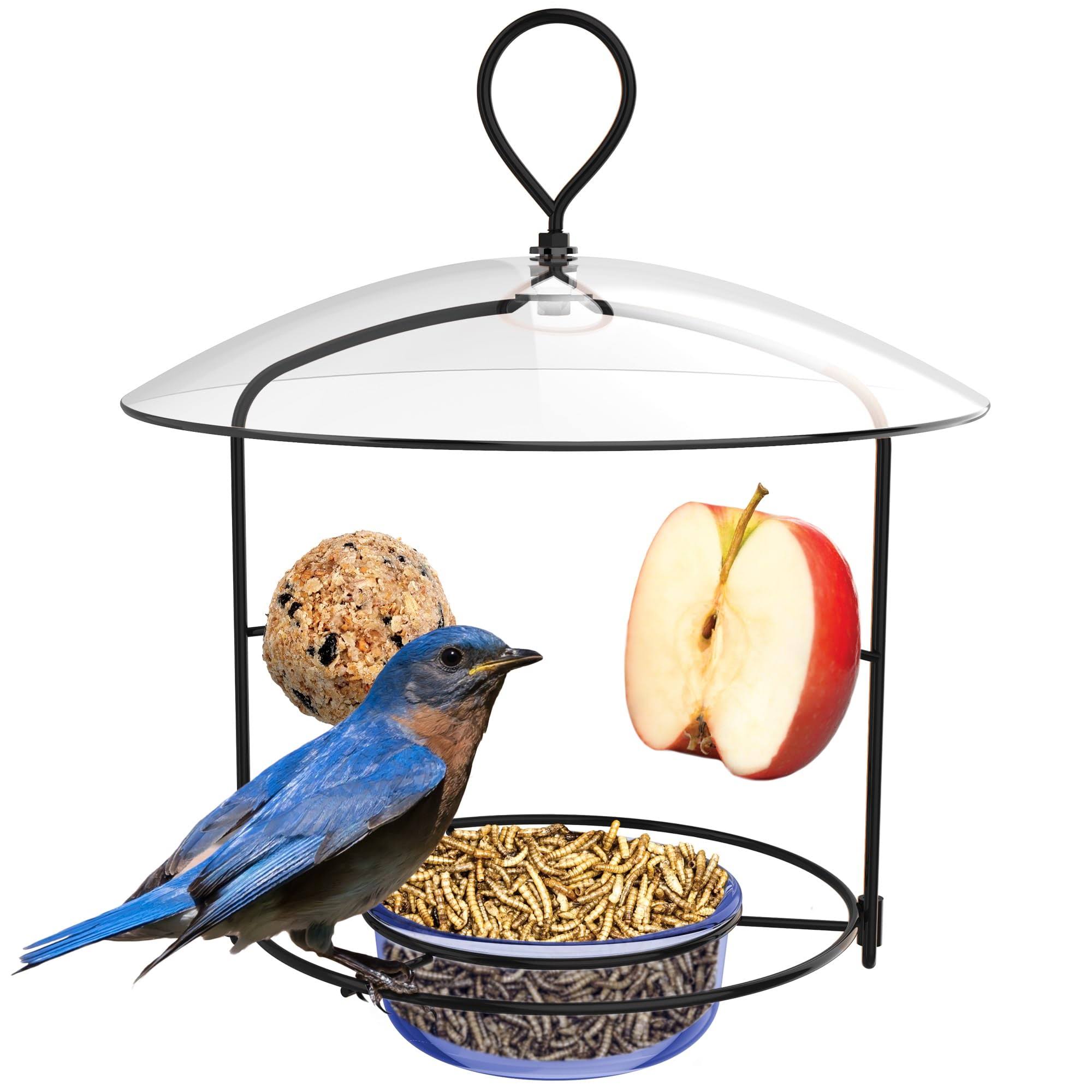 Nature's Way BBFM1 Bluebird Buffet Metal Bird Feeder with Protective Baffle, Outdoor Wild Bird Feeder and D��cor, One Glass Dish with 3/4 Cup