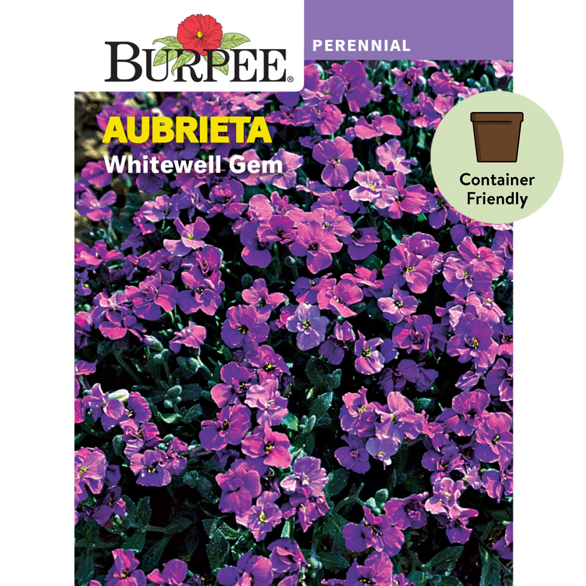 Burpee Whitewell Gem Aubrieta Flower Seed - 1 Pack
