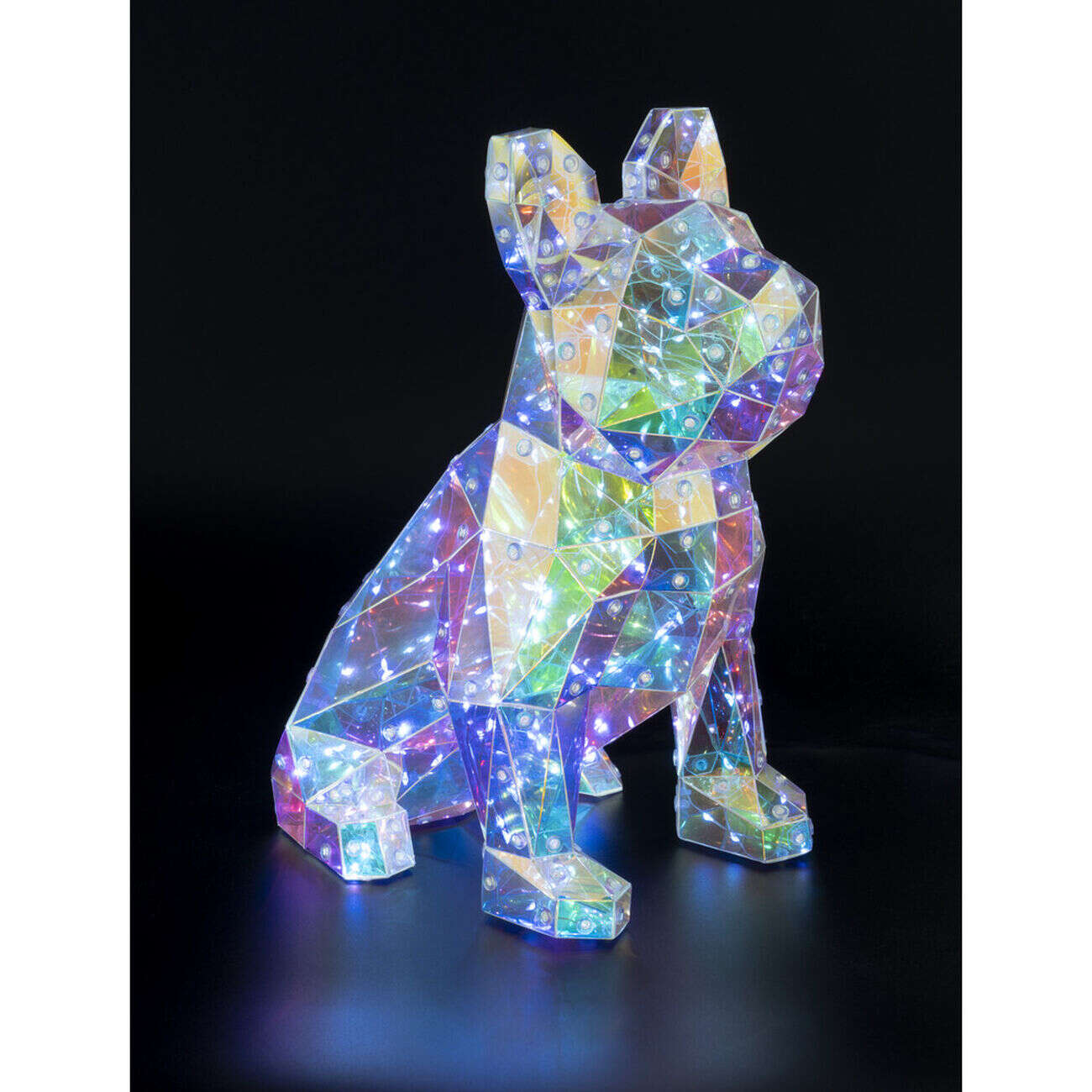 Bouledogue holographique lumineux 150LED