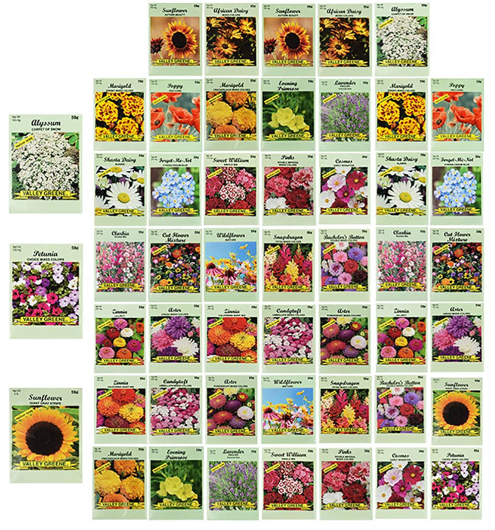 Set of 50 Assorted Flower Seed Packets! Flower Seeds in Bulk - 20+ Varieties Ava