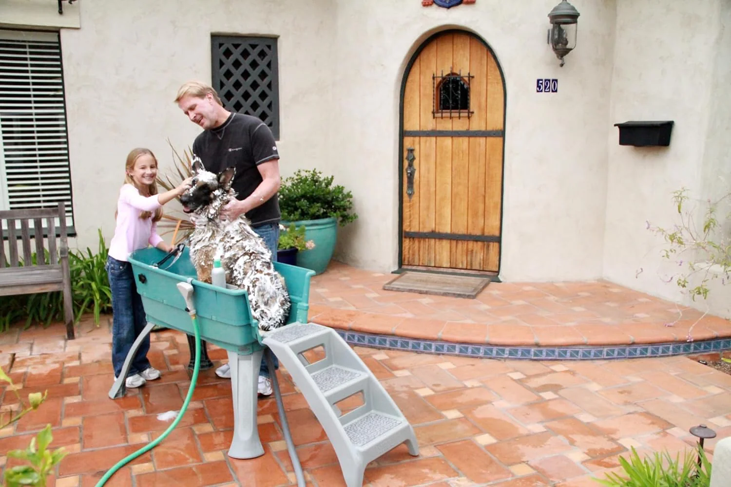 Baignoire surélevée pour animaux de compagnie, grand escalier turquoise combiné