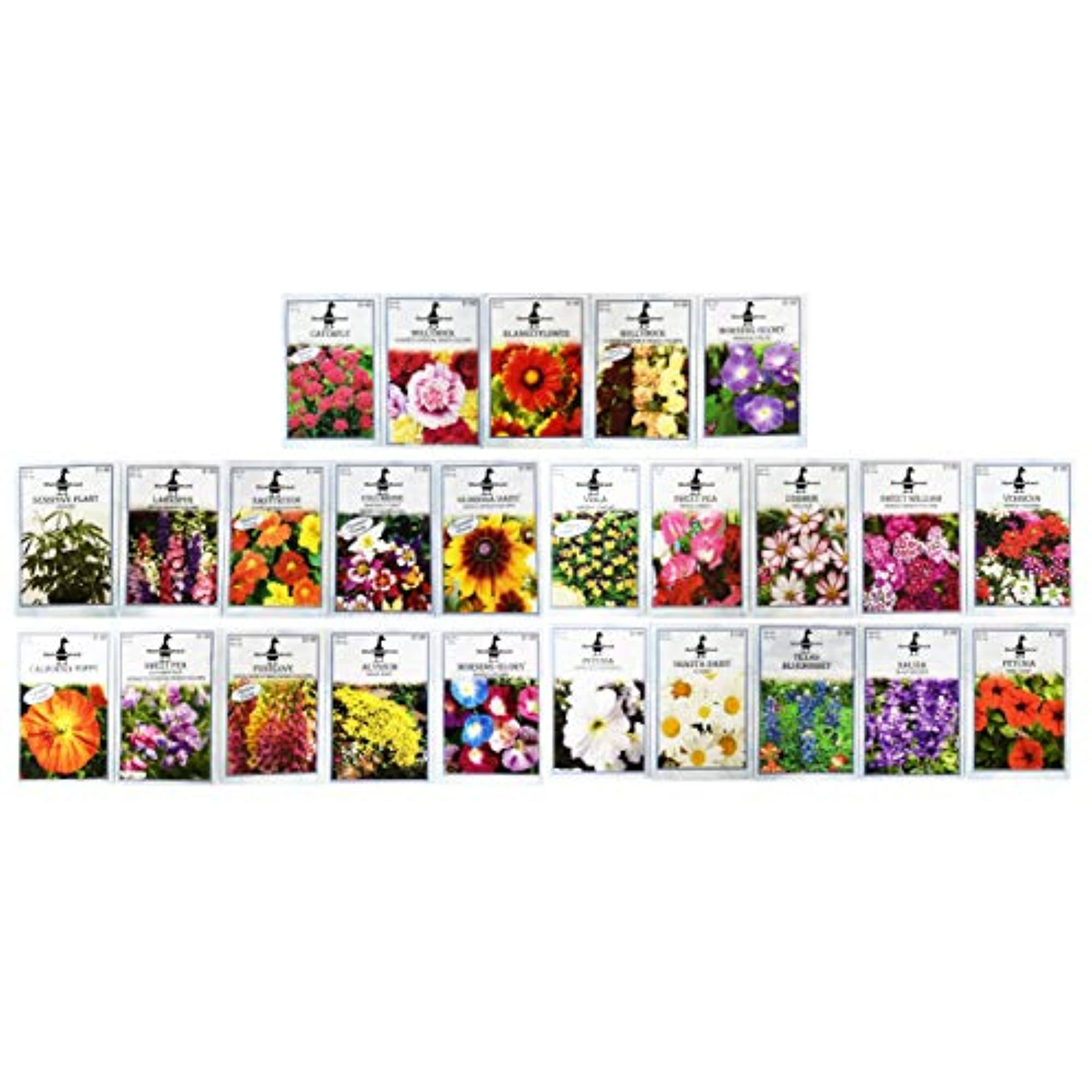 Black Duck Brand Set of 25 Premium Selection Flower Seed Packets! Flower Seeds in Bulk - 25 Deluxe Varieties!
