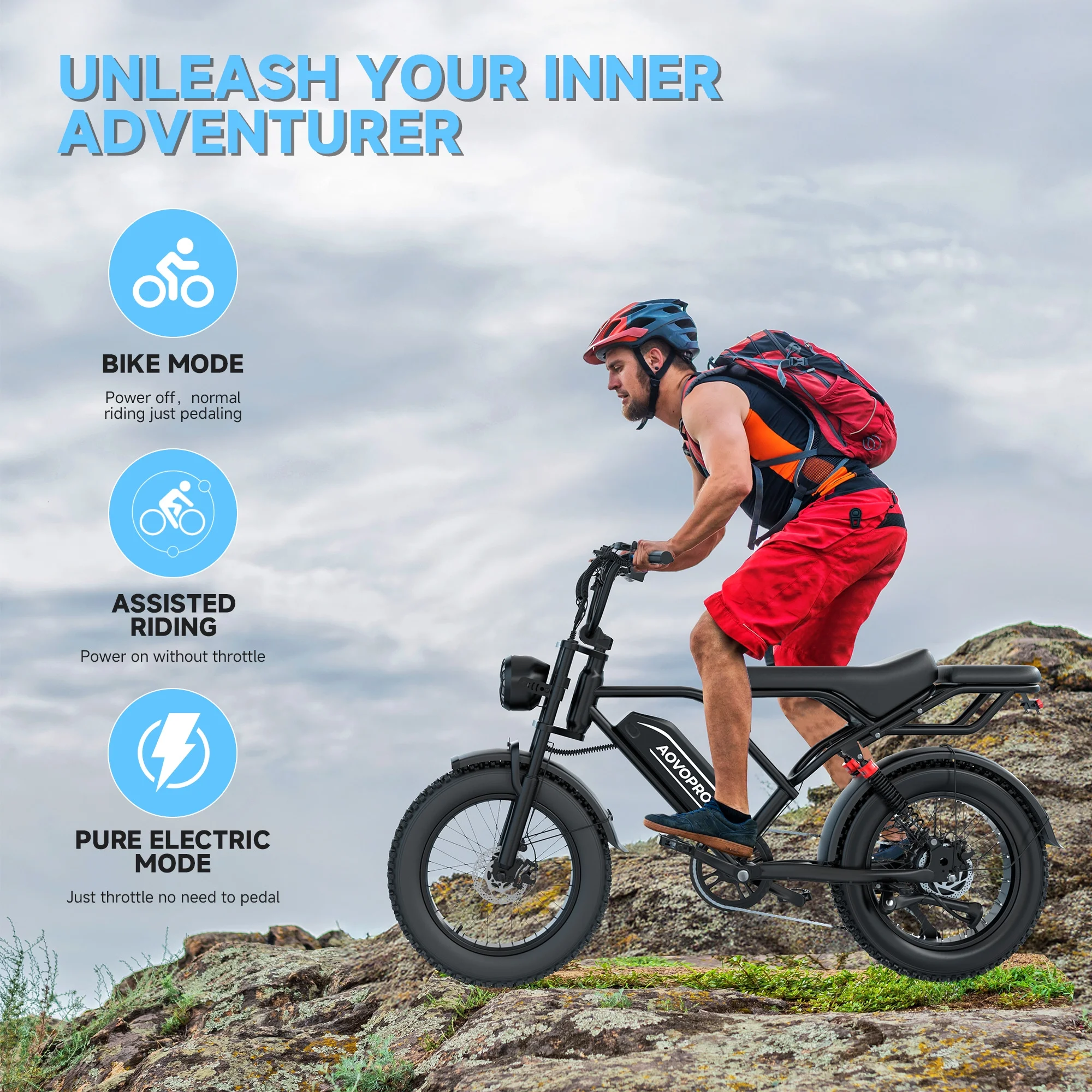AP20 Electric Bike for Adults 20 X 4.0 Fat Tire, 750W Off-Road E Bike, E-Mountain Bike 48V 15.6AH UL2849 - Image 10