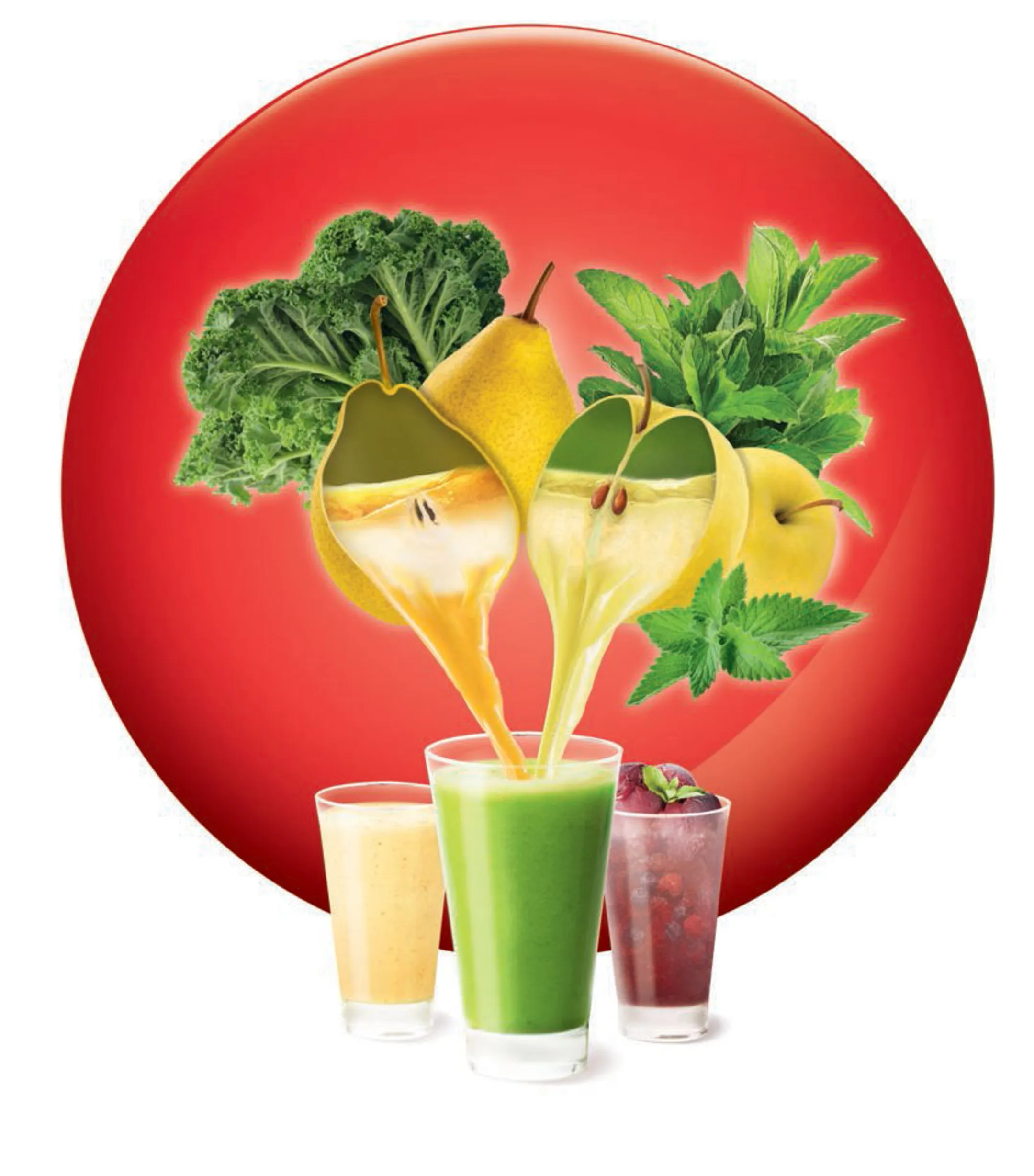 Moulinex Slowjuicer ZU420E10