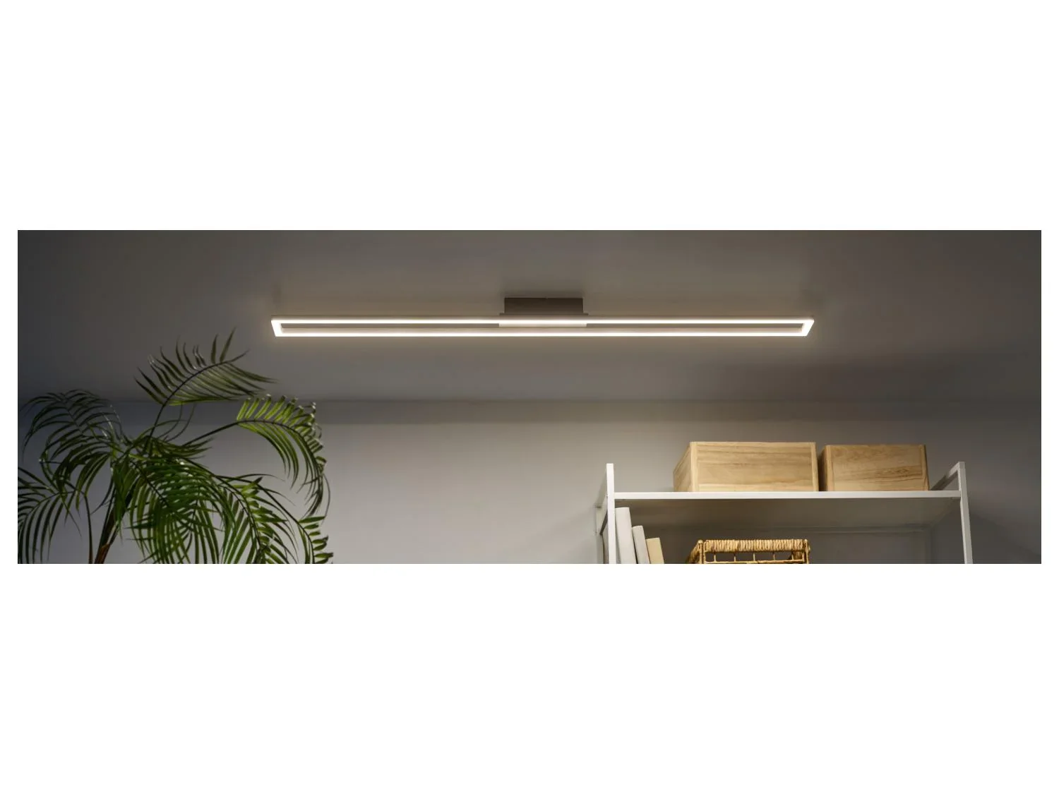 LIVARNO home Plafonnier ou applique murale  LED