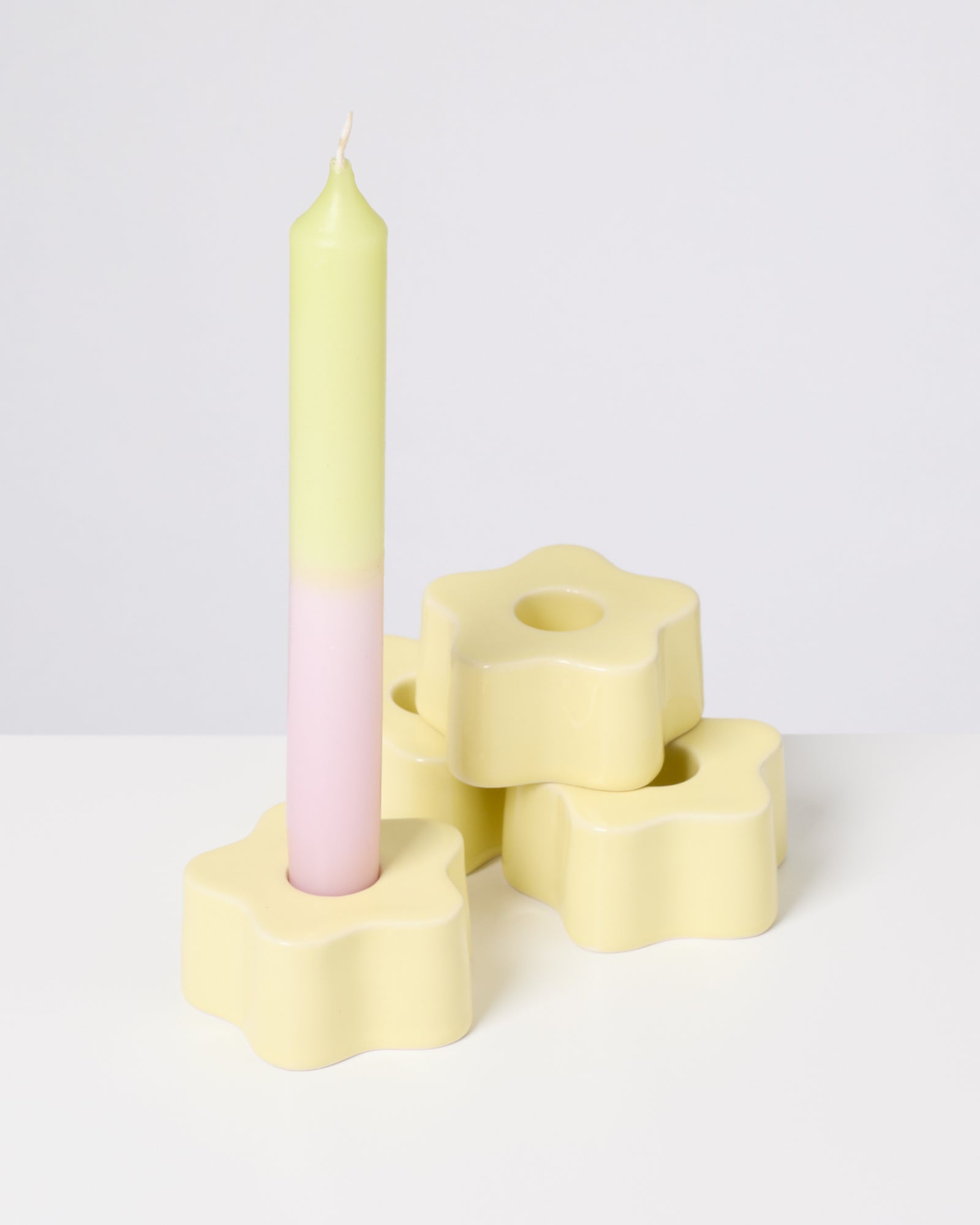 SEIA - CANDLESTICK FLOWER YELLOW