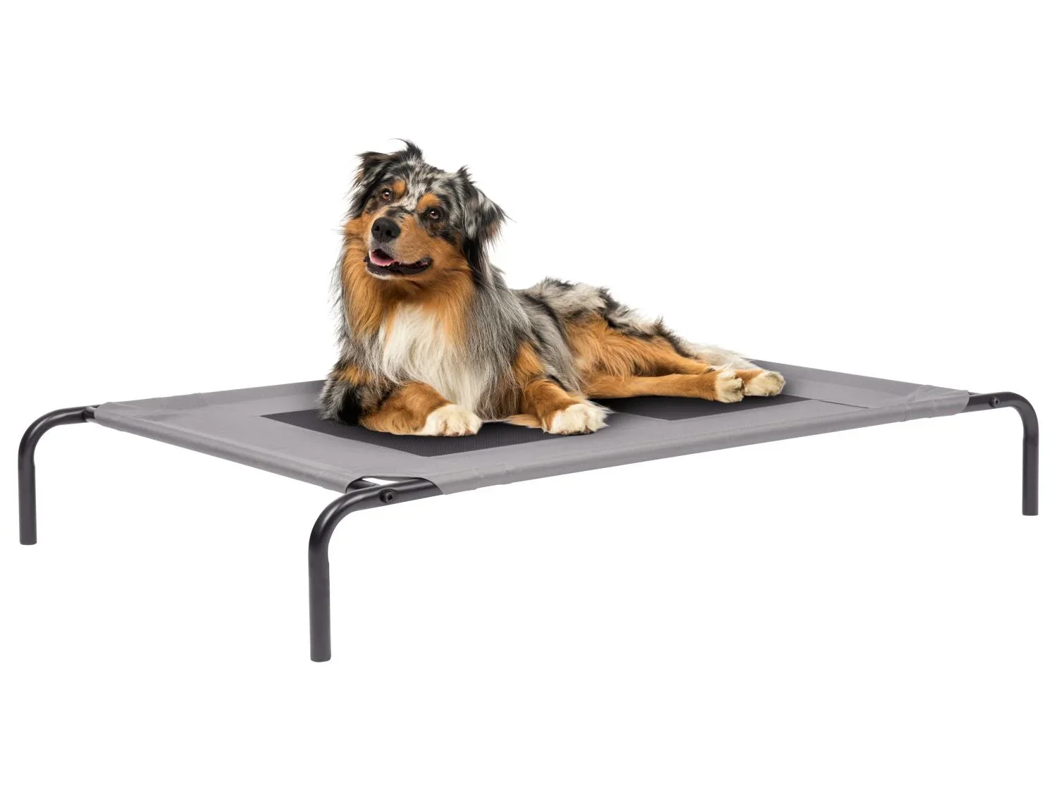 zoofari Lit pour animaux domestiques