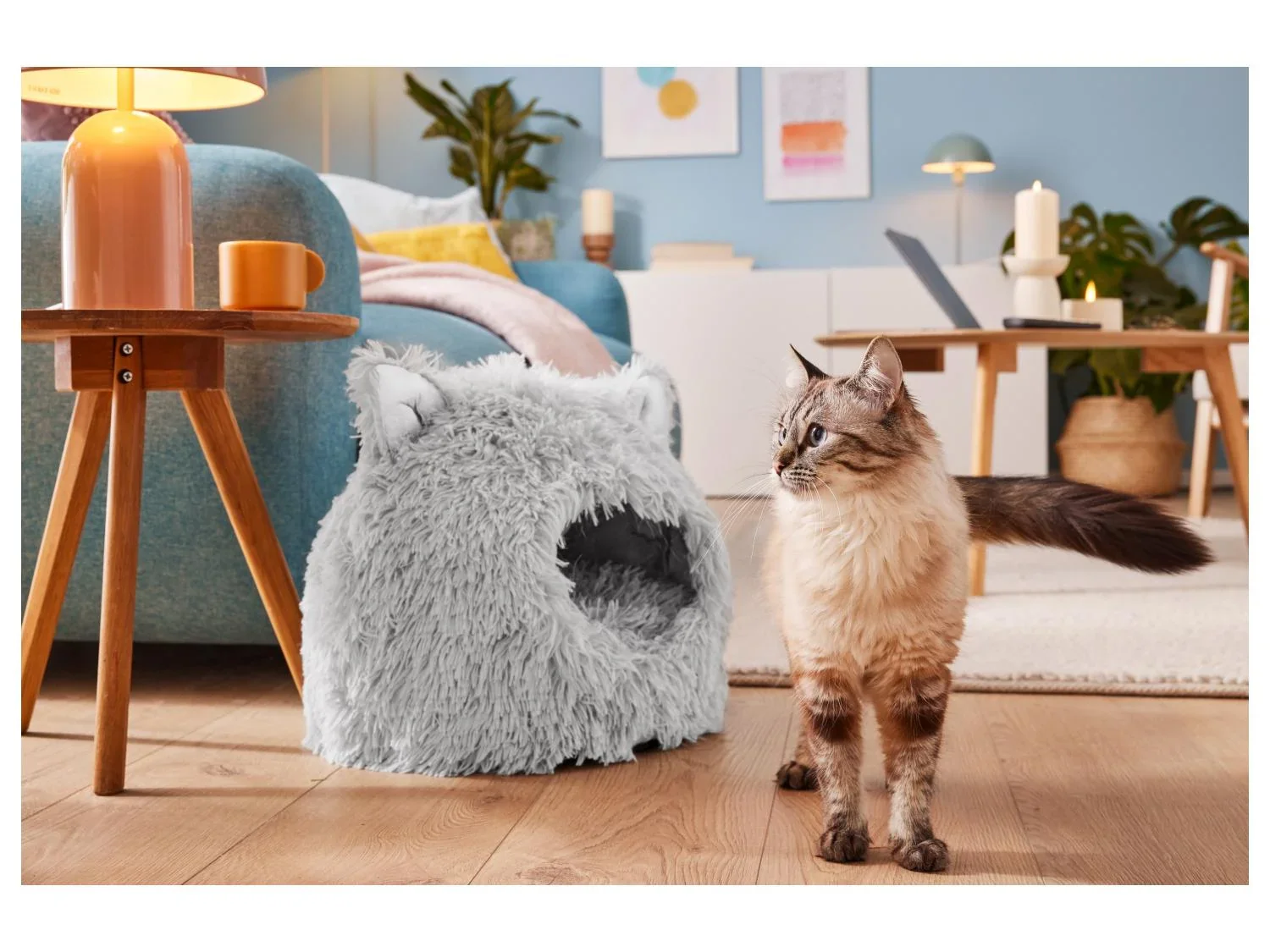 zoofari Panier pour chat ou pour chien