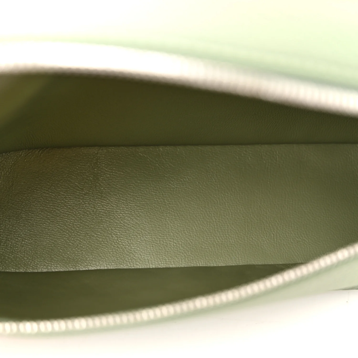 Grained Calfskin L19 Extra Pocket Pouch Sage Brush Leaves