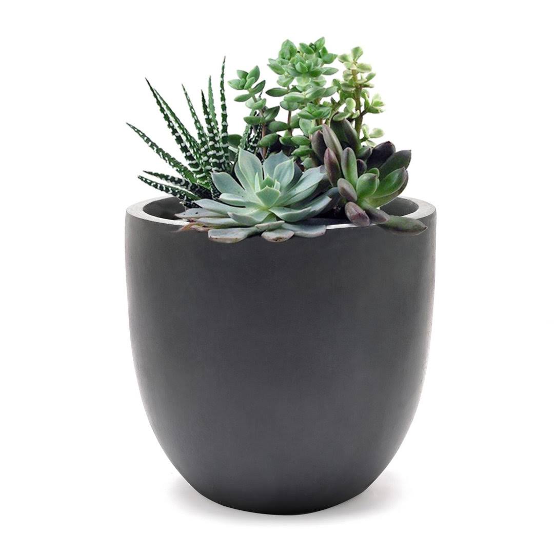 Acushnet Pot Planter Sol 72 Outdoor Color: Dark Gray, Size: 9.2