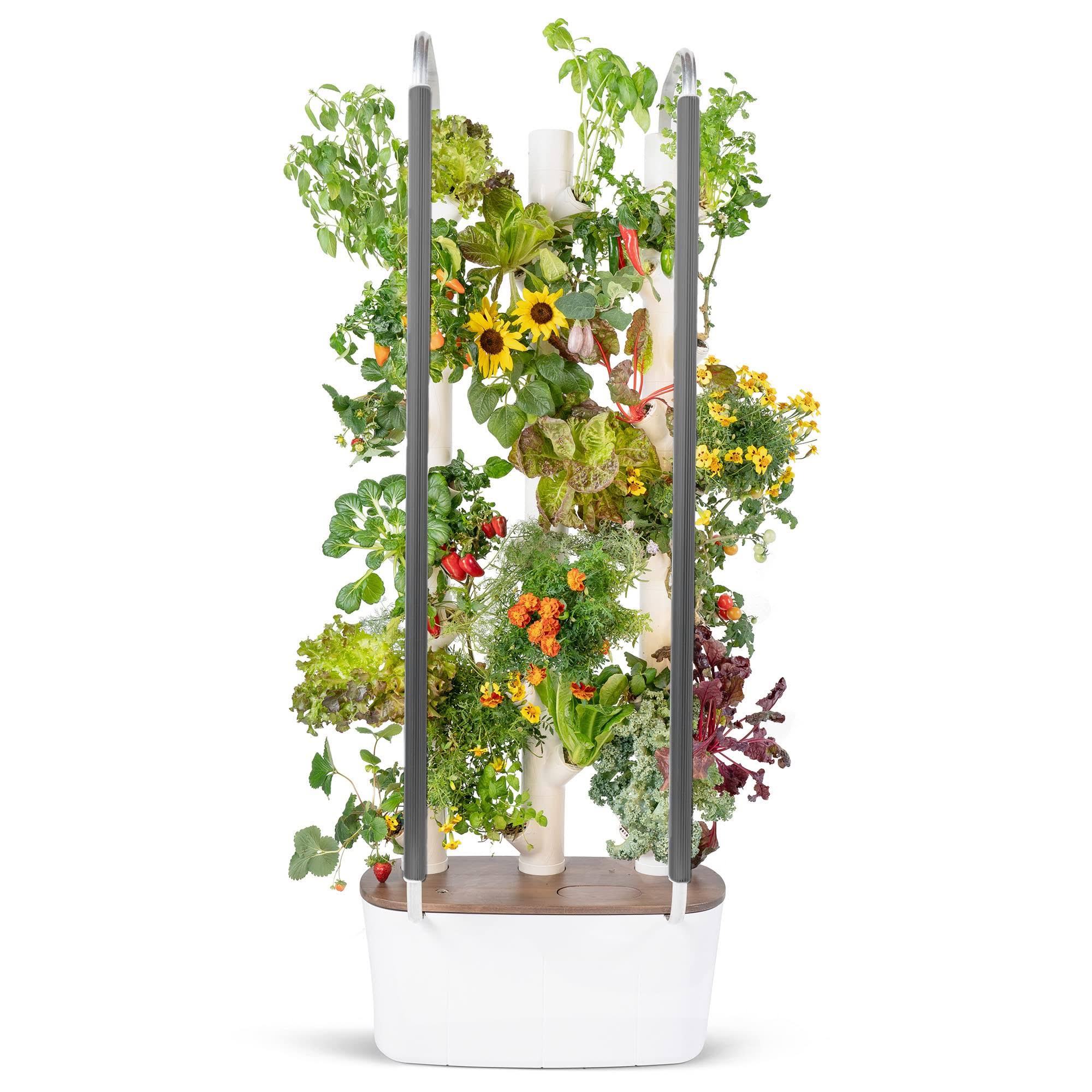 Gardyn 3.0 Hydroponics Growing System & Vertical Garden Planter