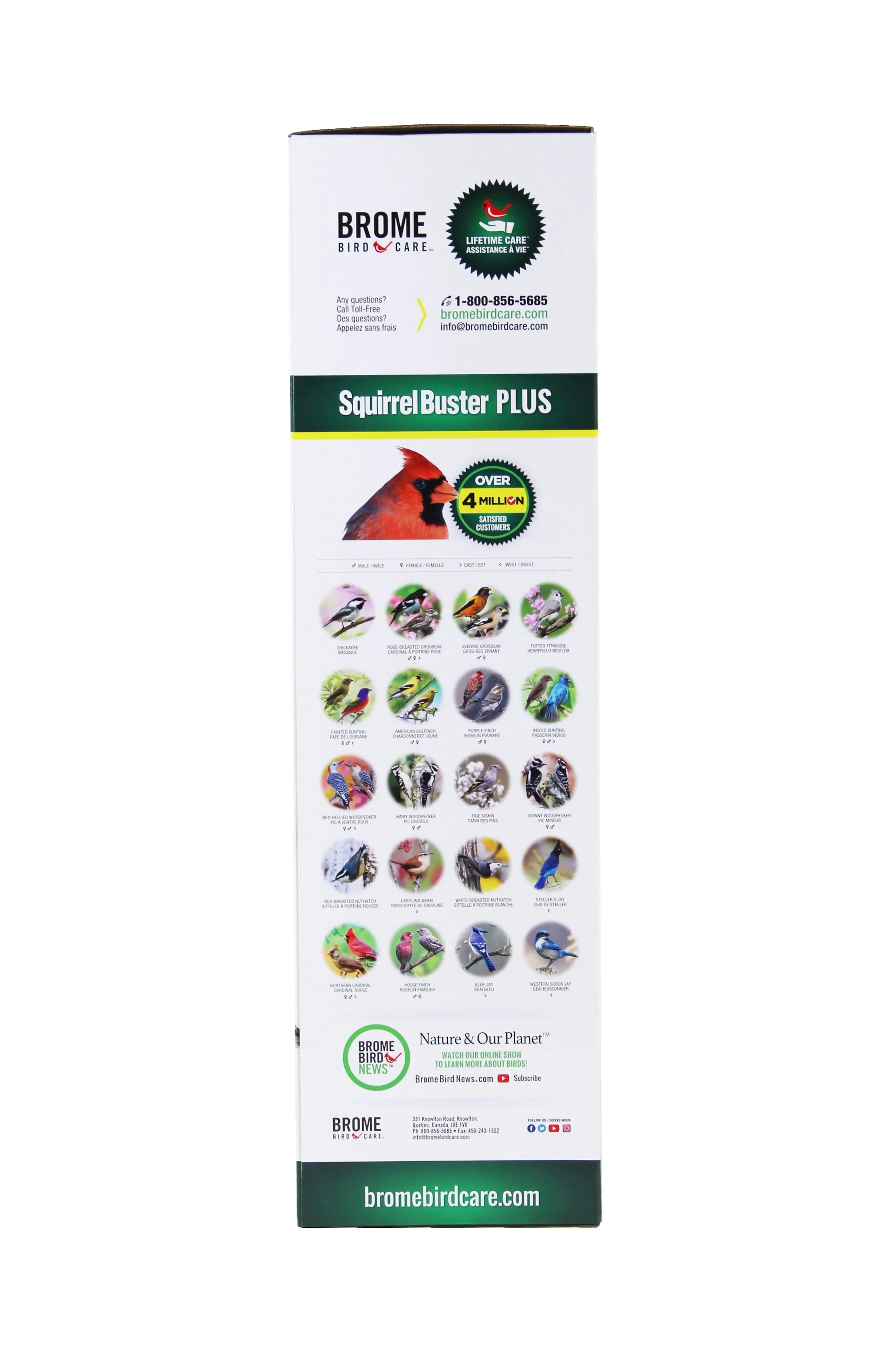 Squirrel Buster Plus Bird Feeder with Cardinal Perch Ring, Squirrel Proof - Image 3