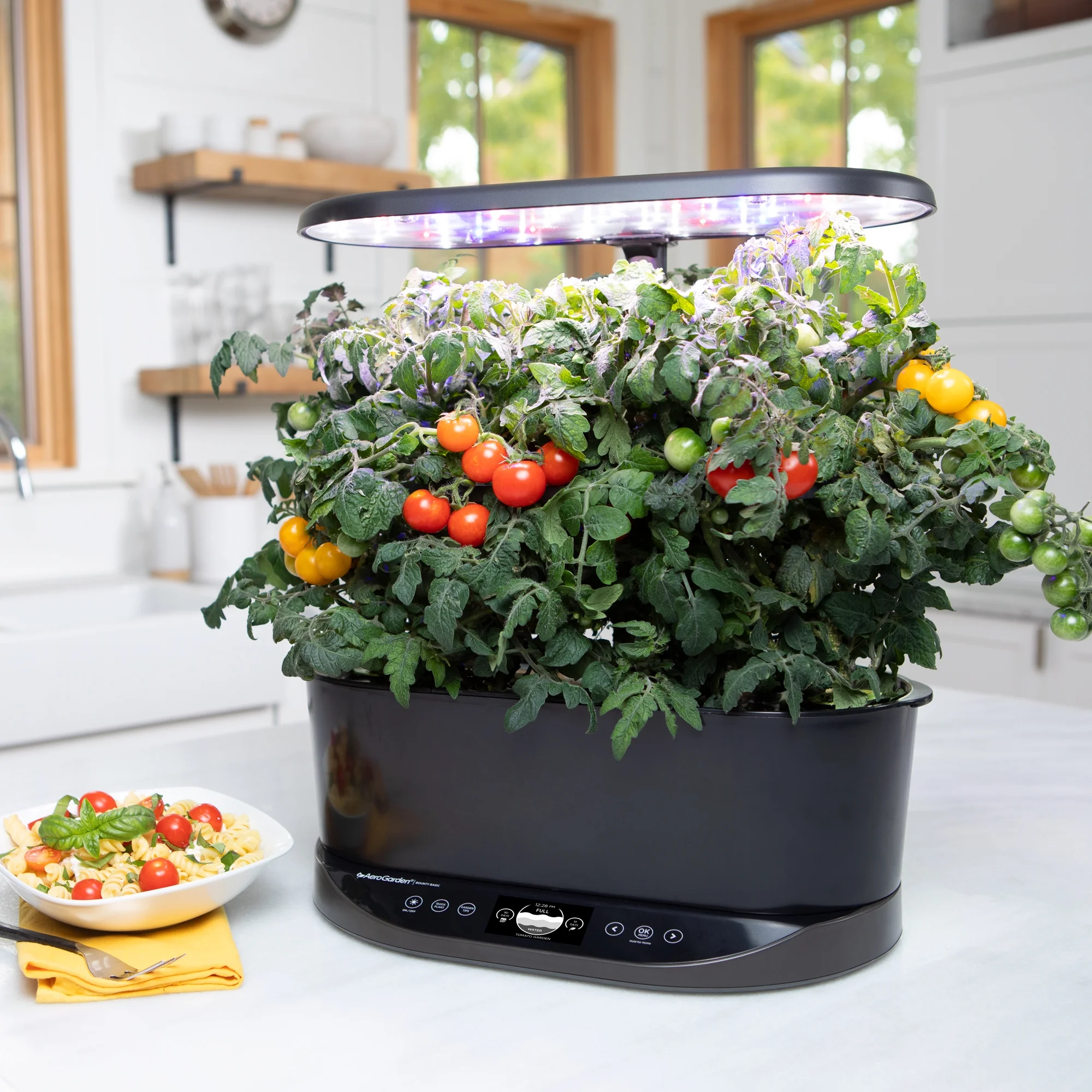 Bounty Basic Indoor Garden with LED Grow Light, Black(Black) - Image 5