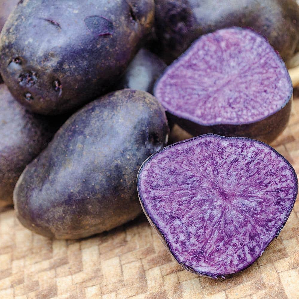 Gardens Alive! Seed Potato Purple Majesty 2 lb Bag | 86972