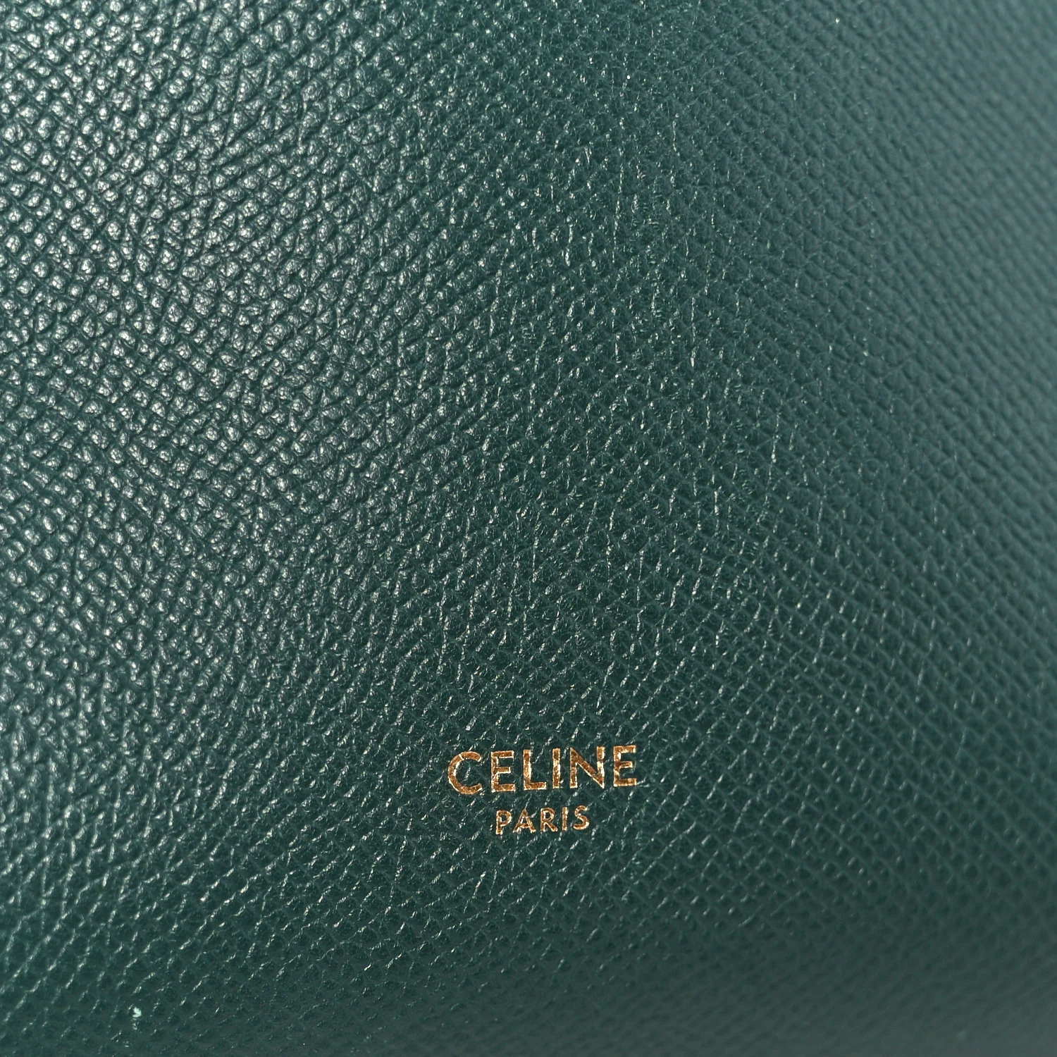 Grained Calfskin Micro Belt Bag Amazone
