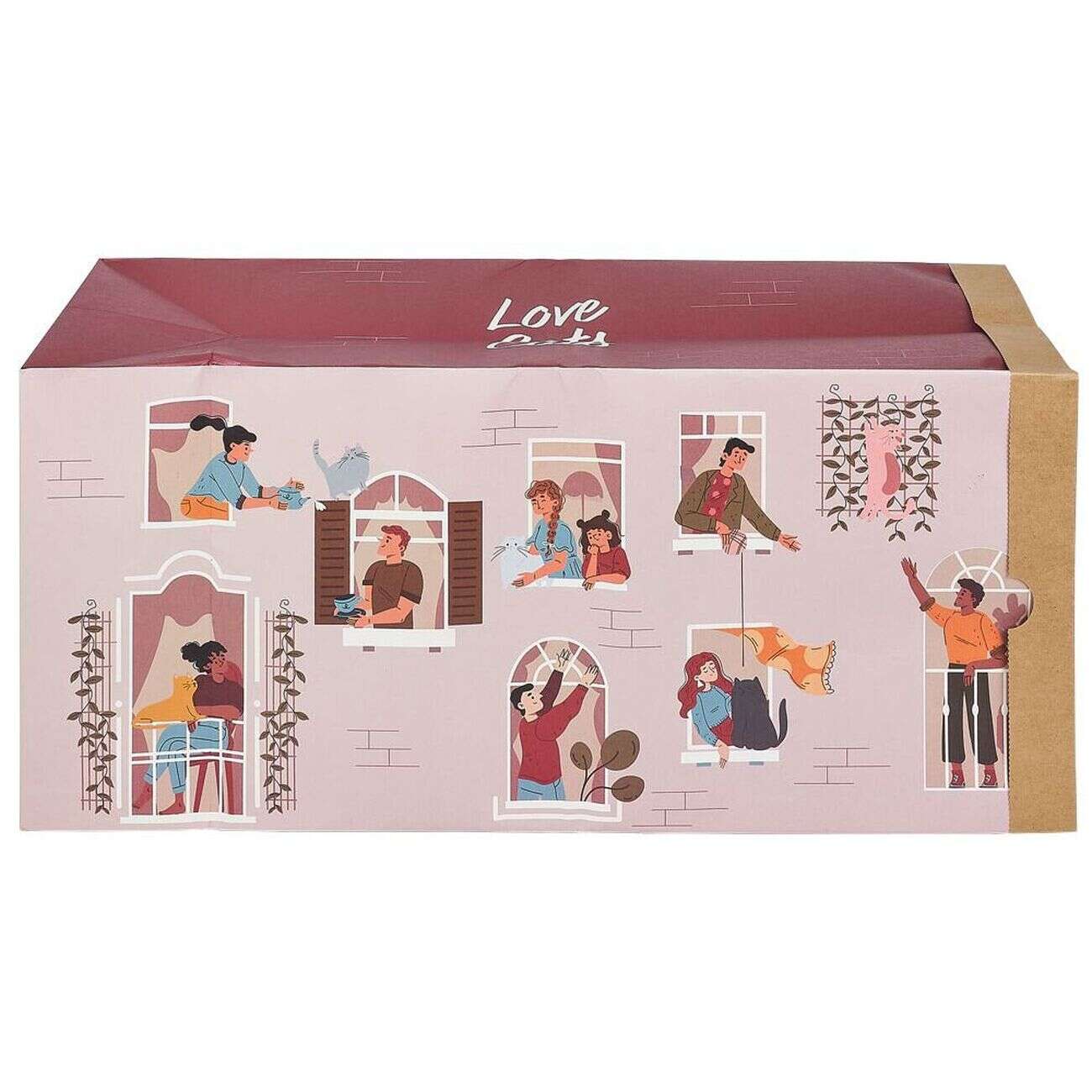 Tunnel de jeu pour chat carton motif maison 60x27xH22cm