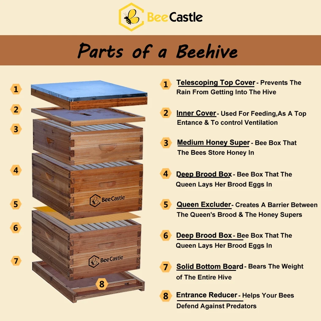 Bee Castle 10 - Frame Beeswaxed Complete Bee Hives Kit with 2 Deep Box and 1 Medium Box