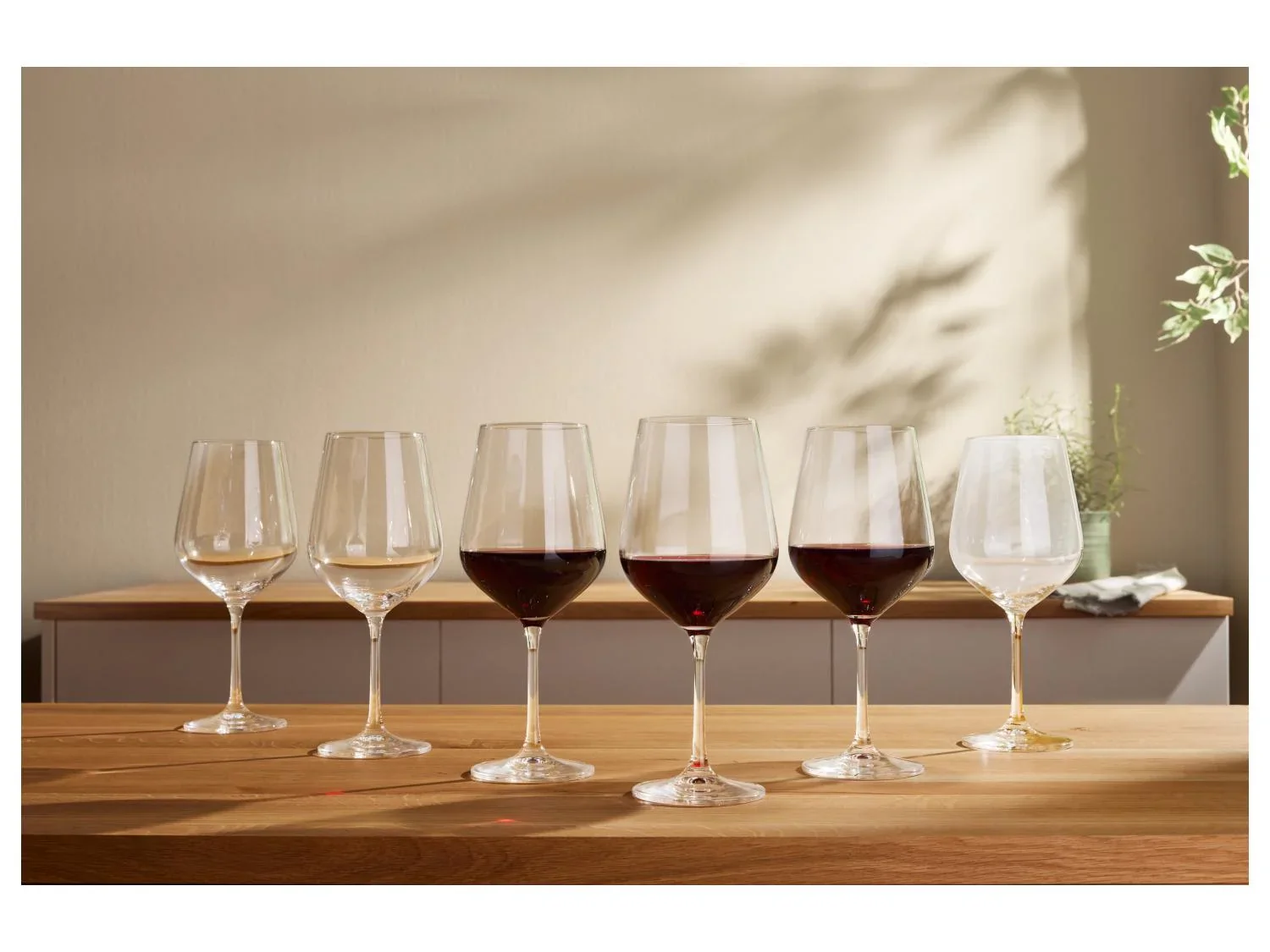 SILVERCREST Verres  vin ou fltes  champagne