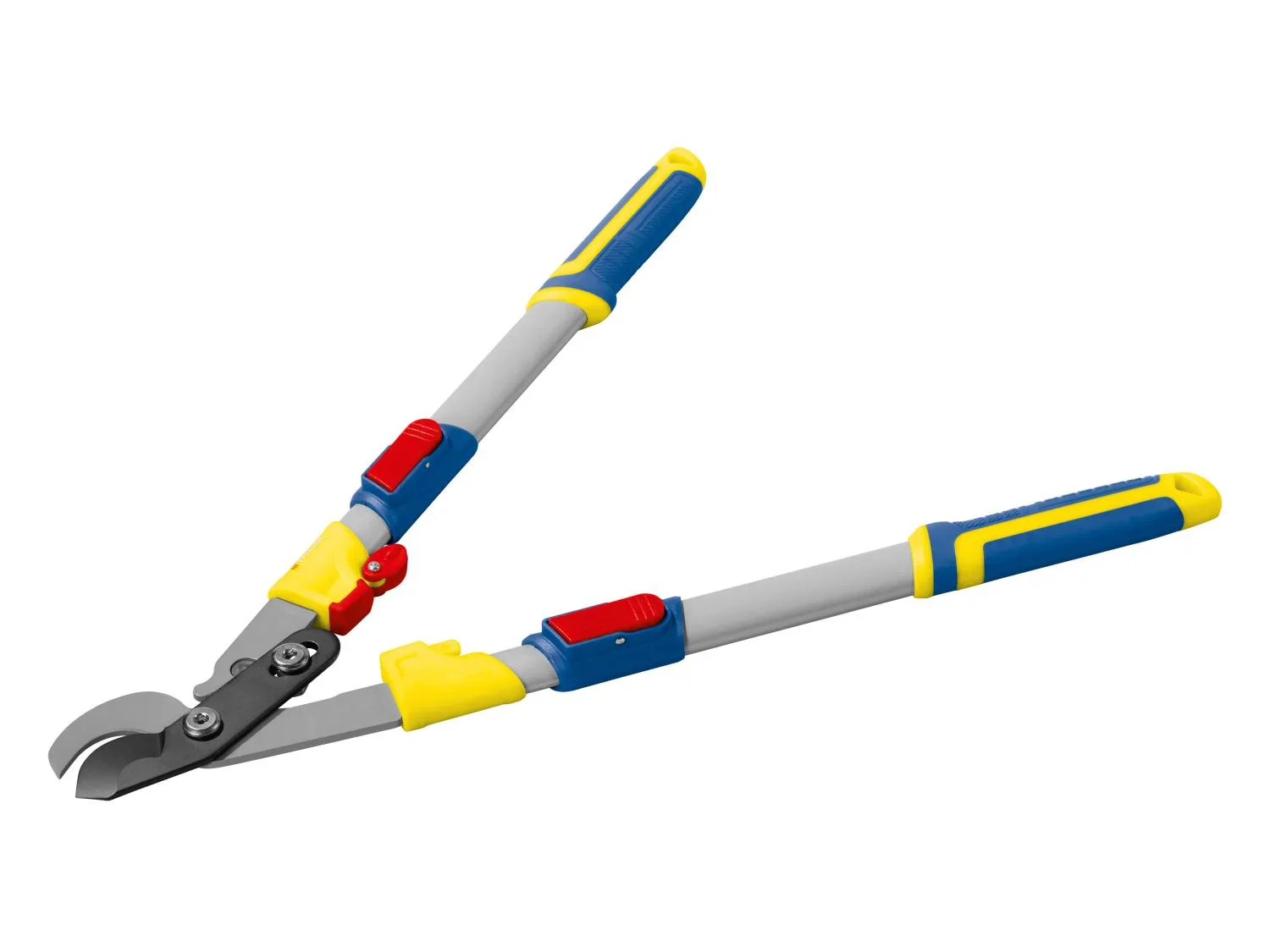 PARKSIDE Coupe-branches tlescopique dition LIDL