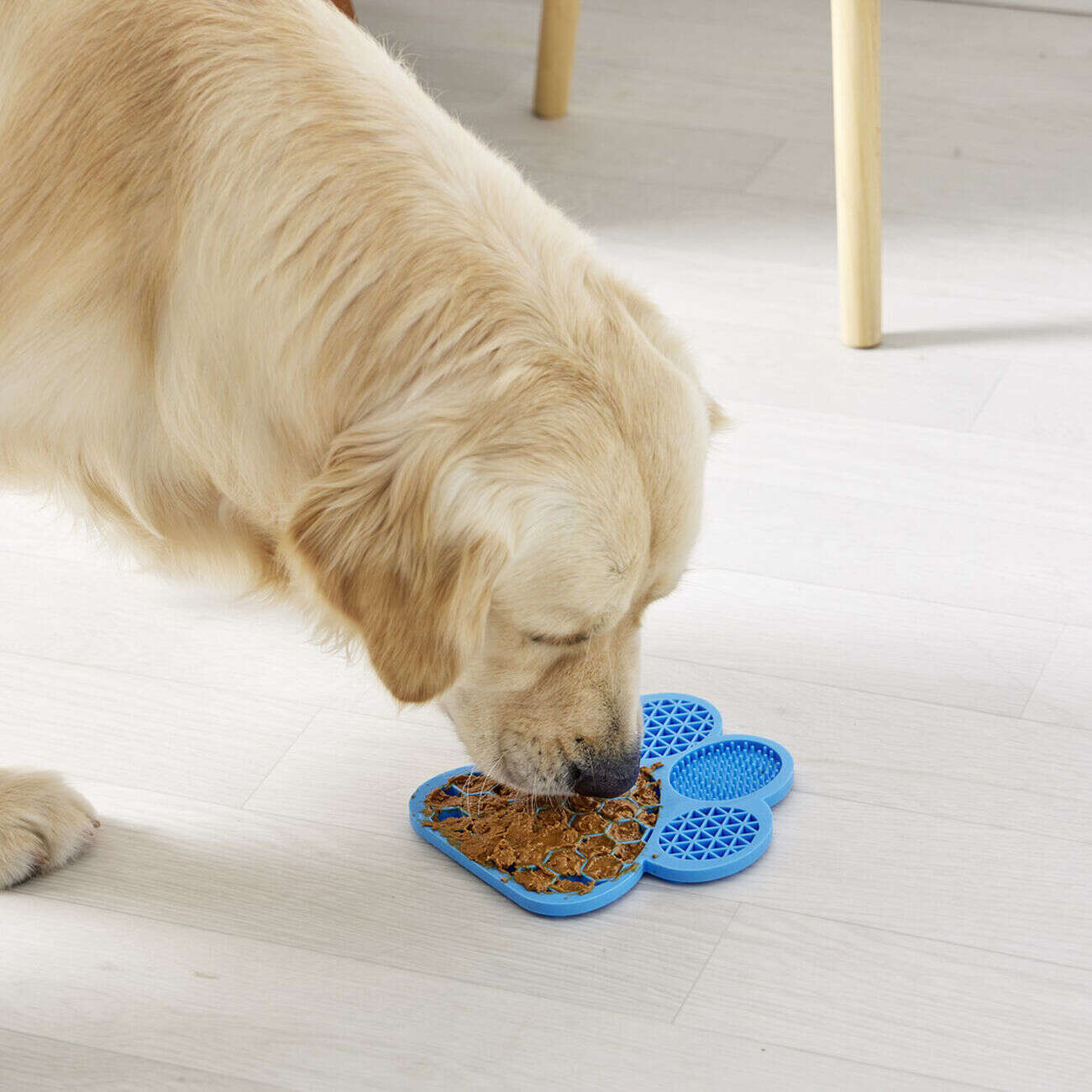 Tapis de léchage pour animaux forme patte de chien silicone bleu 18x18cm