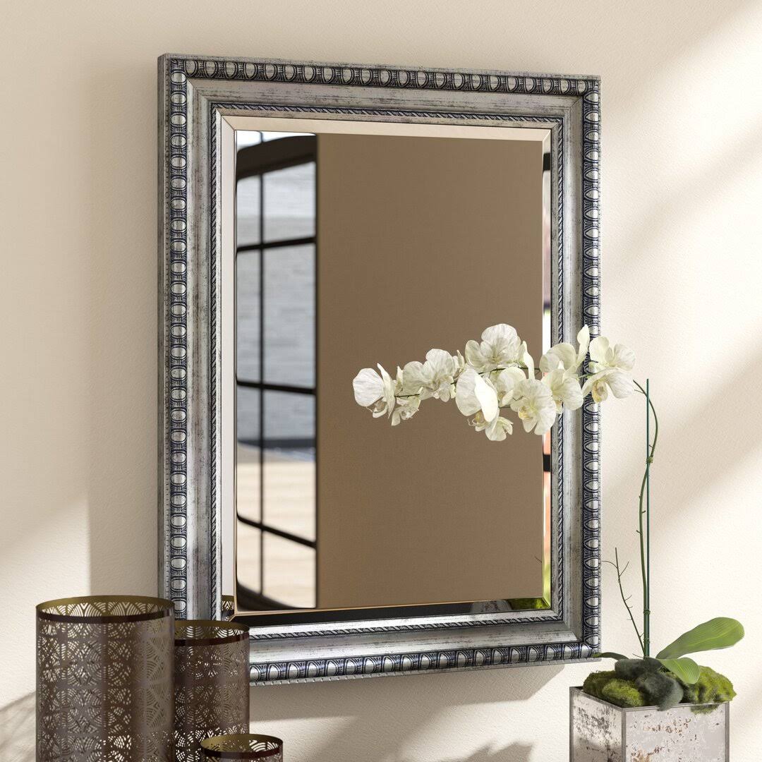 World Menagerie Eriq Framed Wall Mirror
