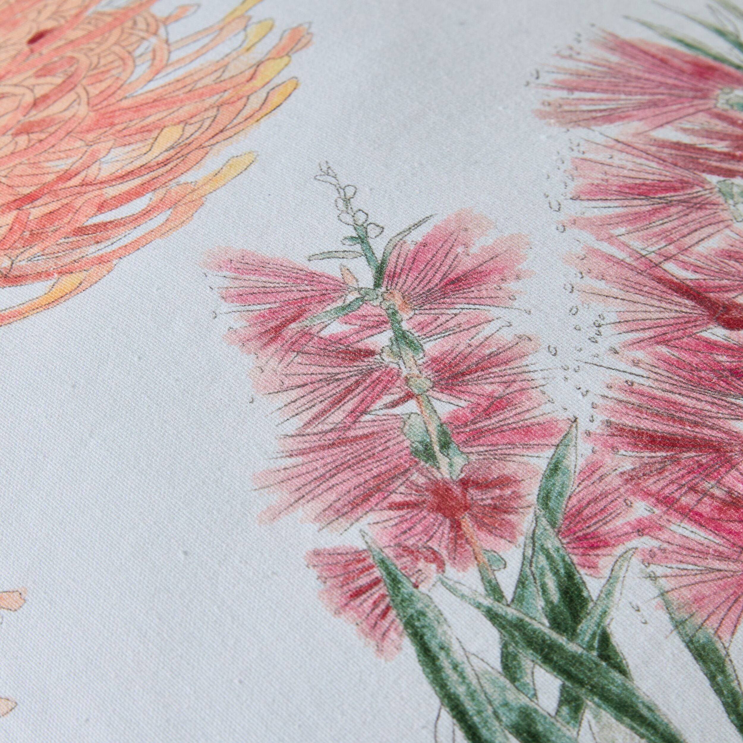 Botanica Bottle Brush Cushion 45x45cm