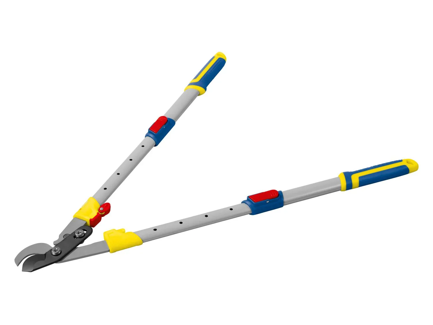PARKSIDE Coupe-branches tlescopique dition LIDL