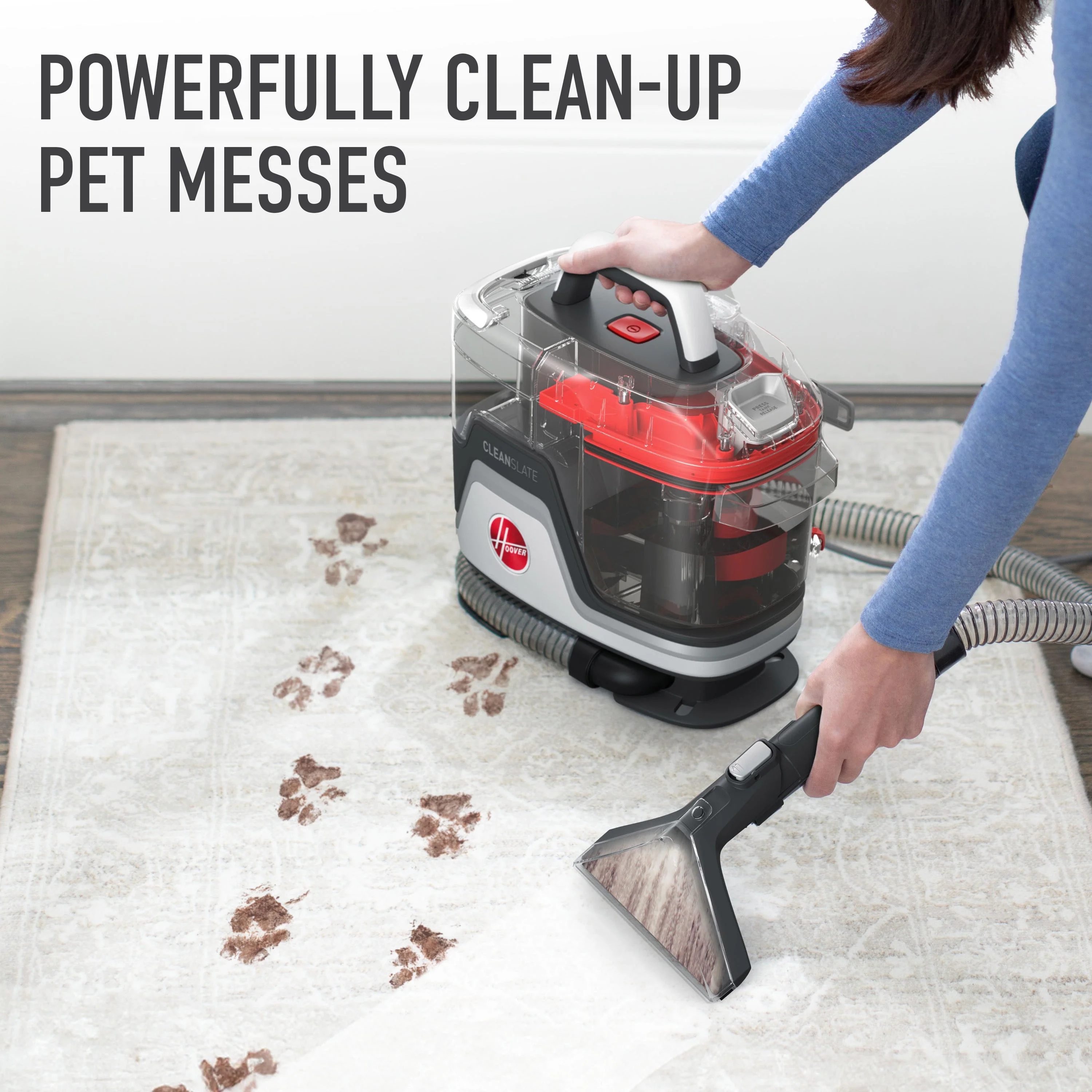 CleanSlate Pet Carpet & Upholstery Spot Cleaner