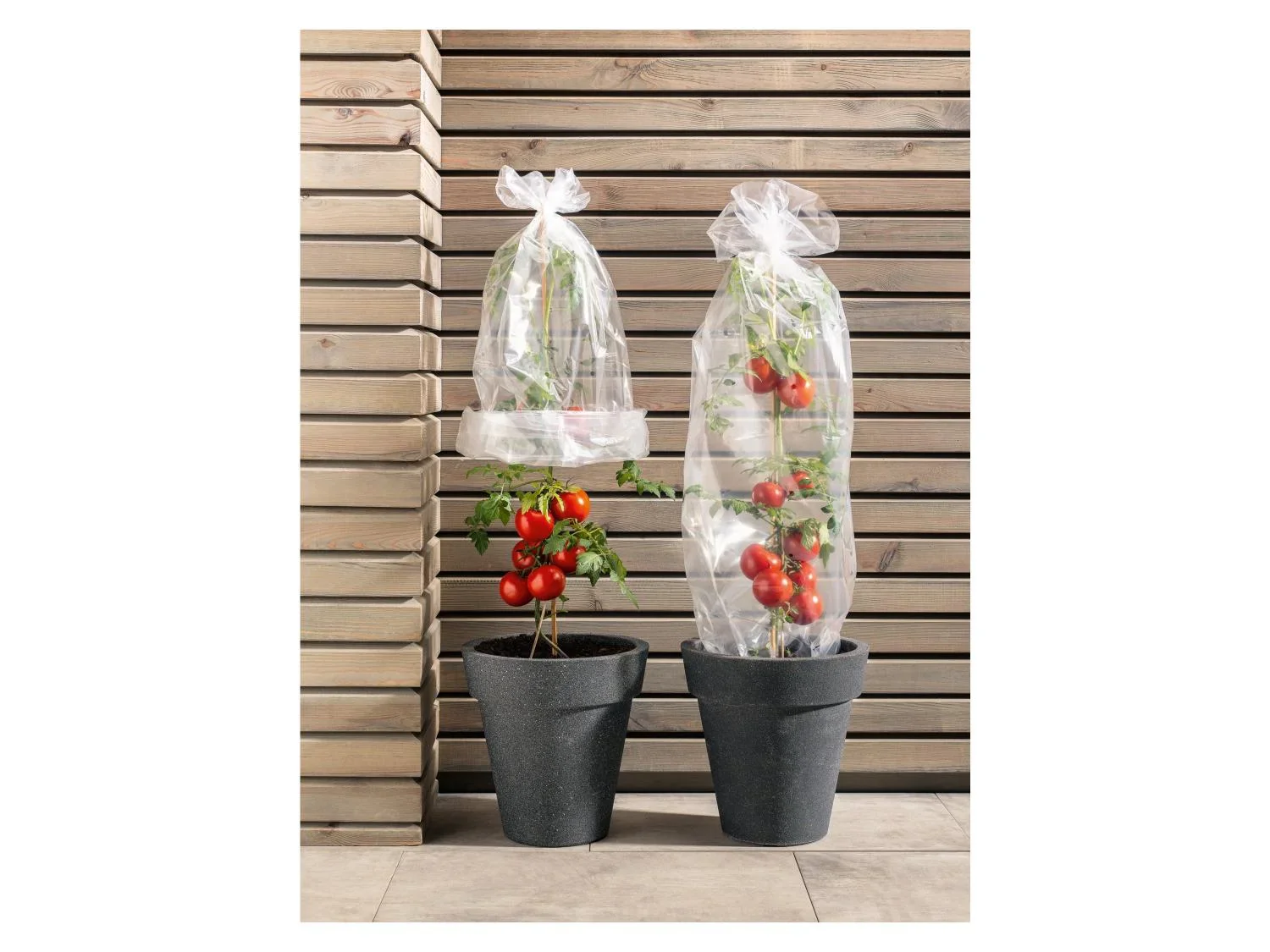 PARKSIDE Film pour serre de jardin