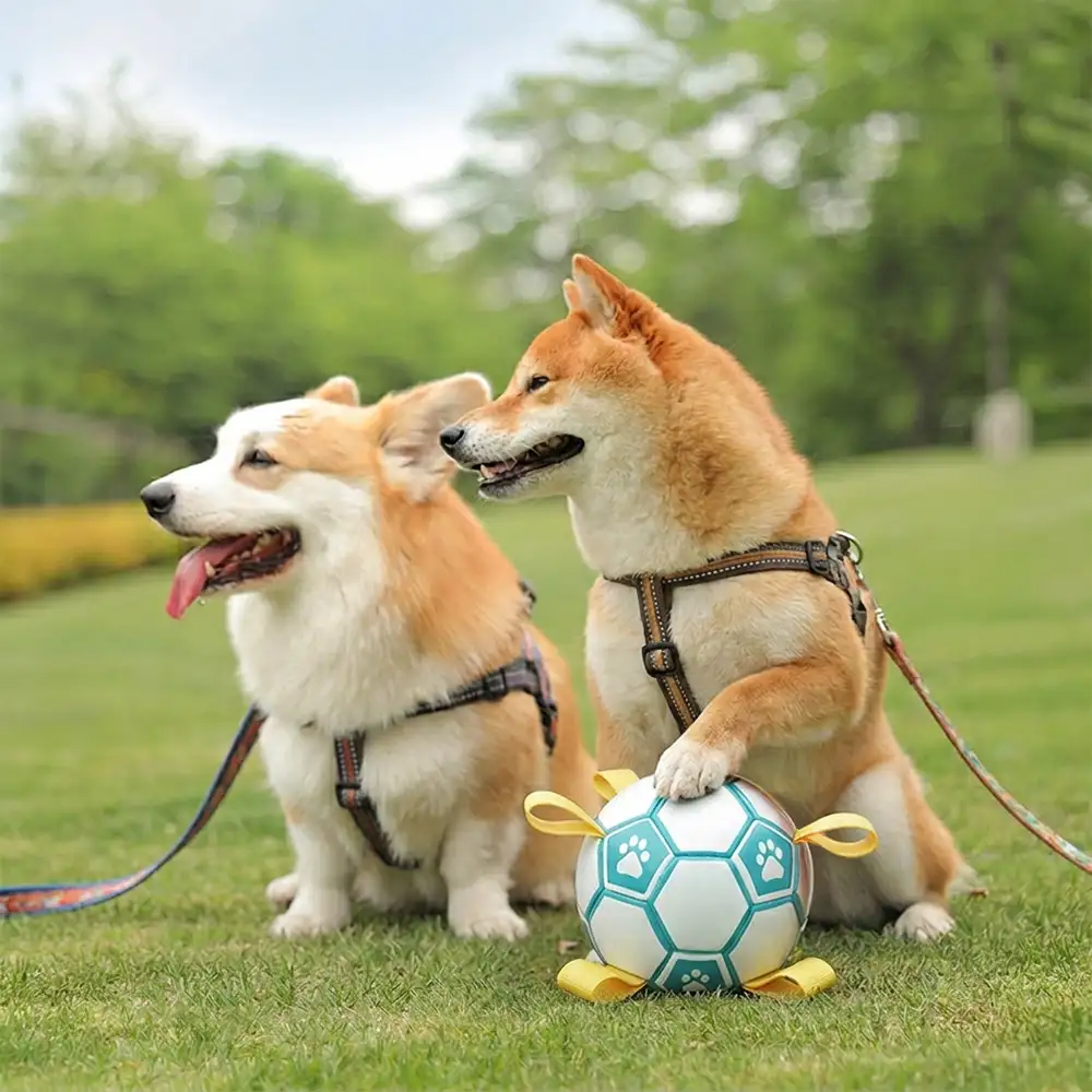 Paw Print Soccer Ball Dog Chew Toy With Straps