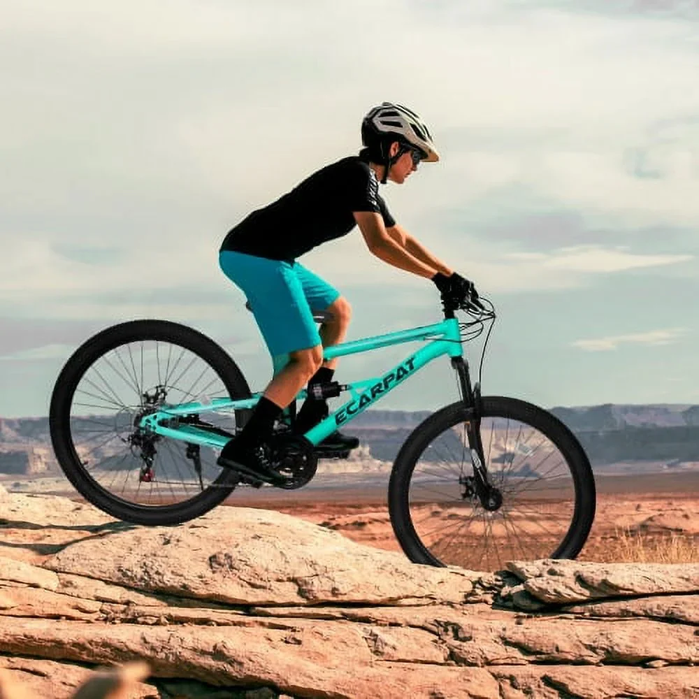 Raistyw 26 inch Mountain Bike for Adult, Shimano 21-Speed Steel Frame Bicycle with Disc Brakes and Shock Fork, Blue and Green