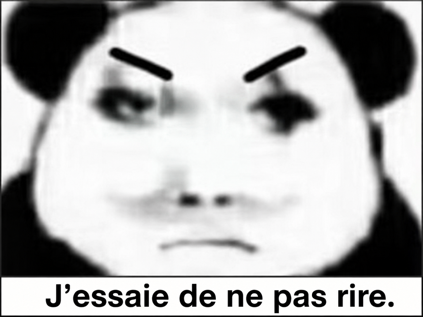Meme Sen