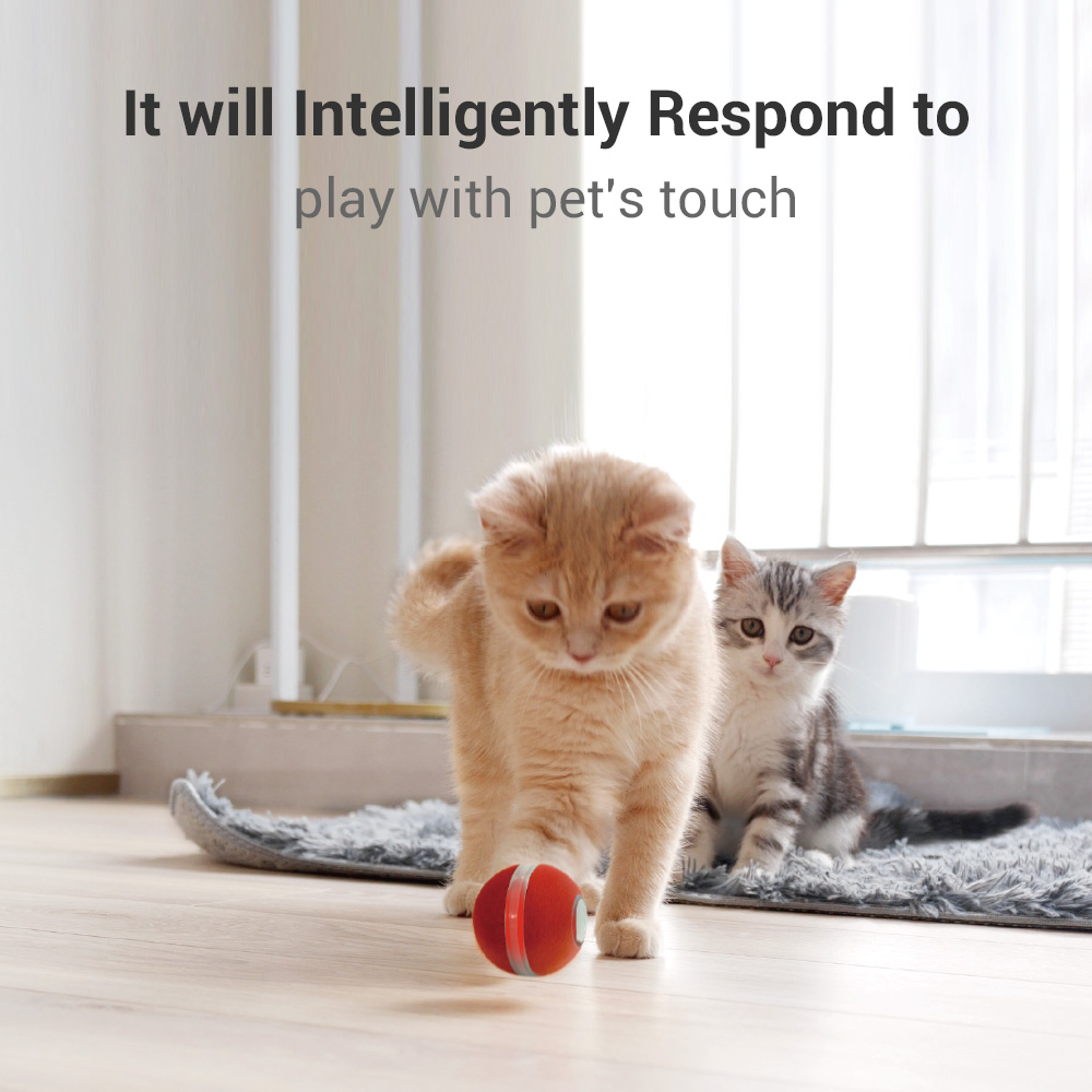 Interactive Dog & Cat Toy Modern Automatic Self-Moving Ball Active Rolling Plastic Toy