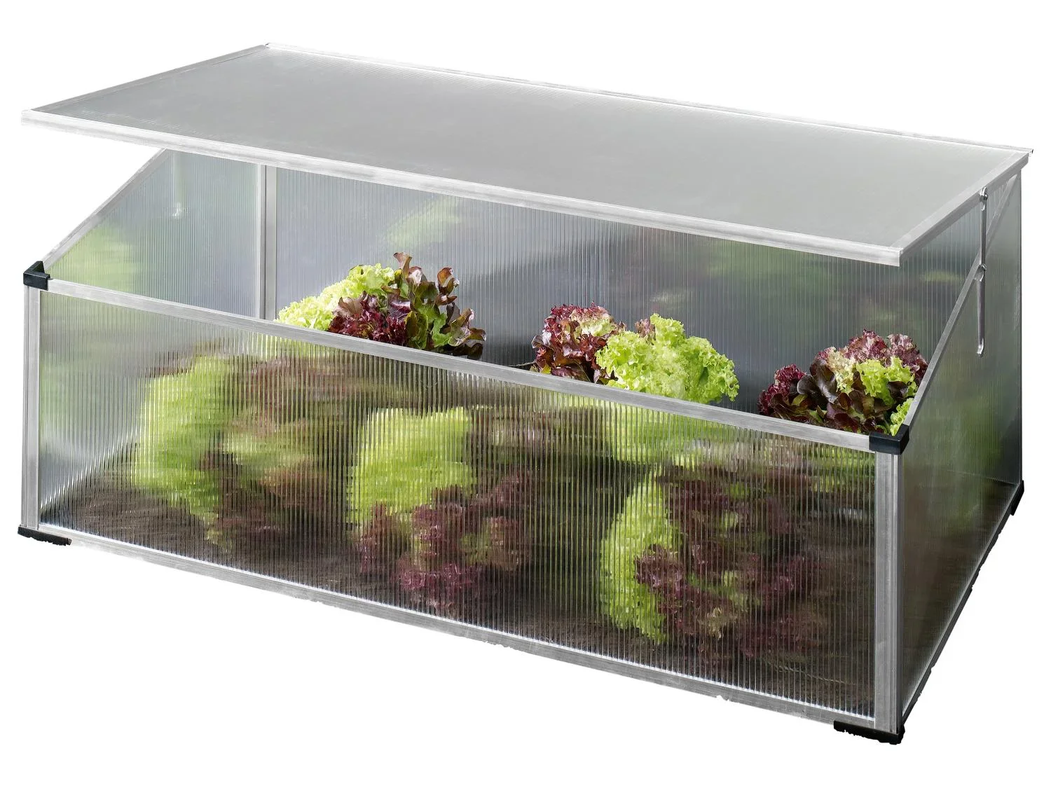 PARKSIDE Mini-serre de jardin, 100 x 30/40 x 60 cm, 0,2m