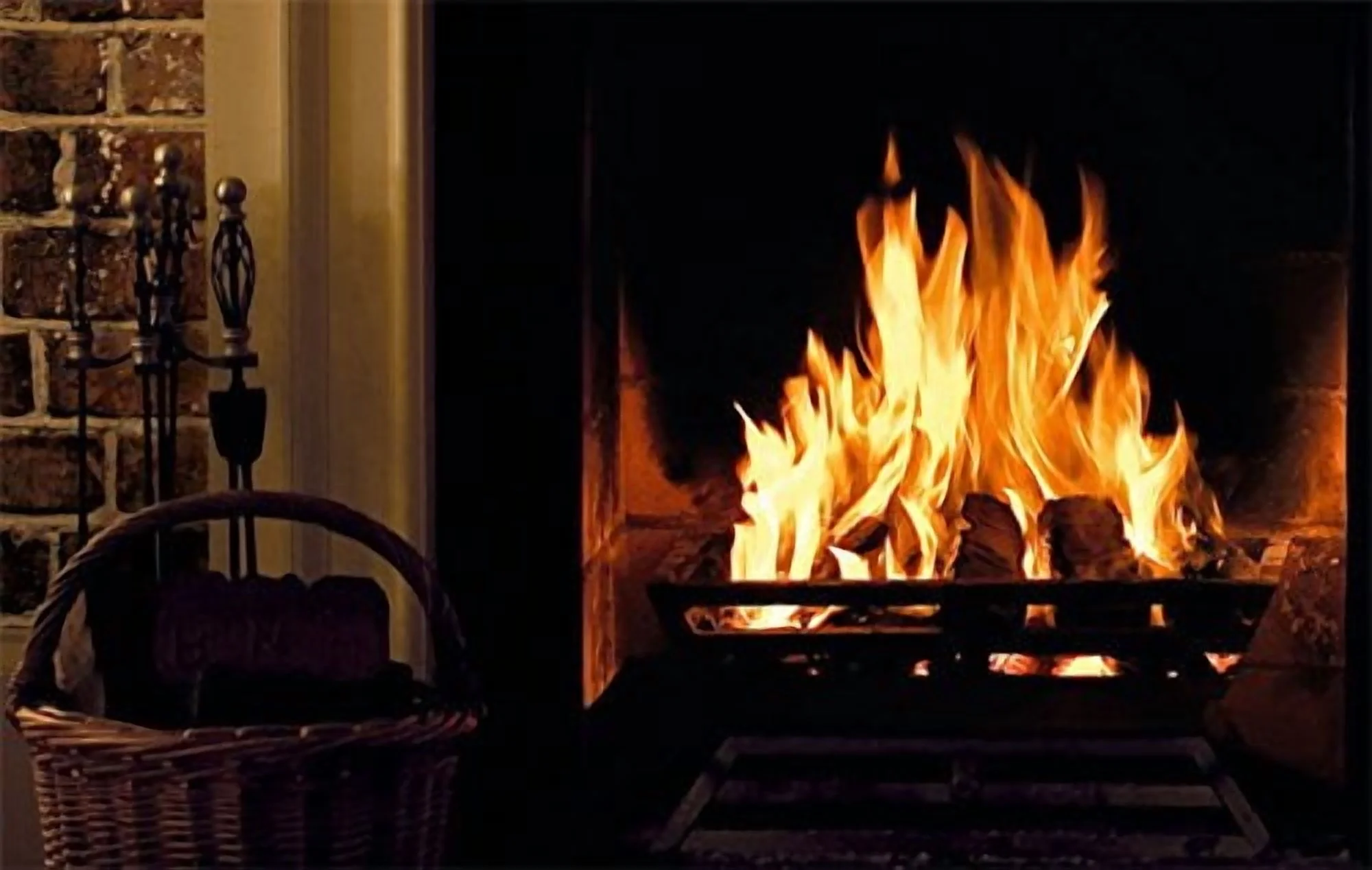 Peat Briquettes (4 Fire Logs)