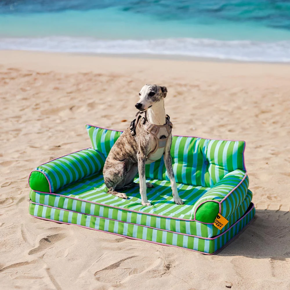 Stripe Waterproof Foldable Large Dog Sofa Bed - Sunny Siesta