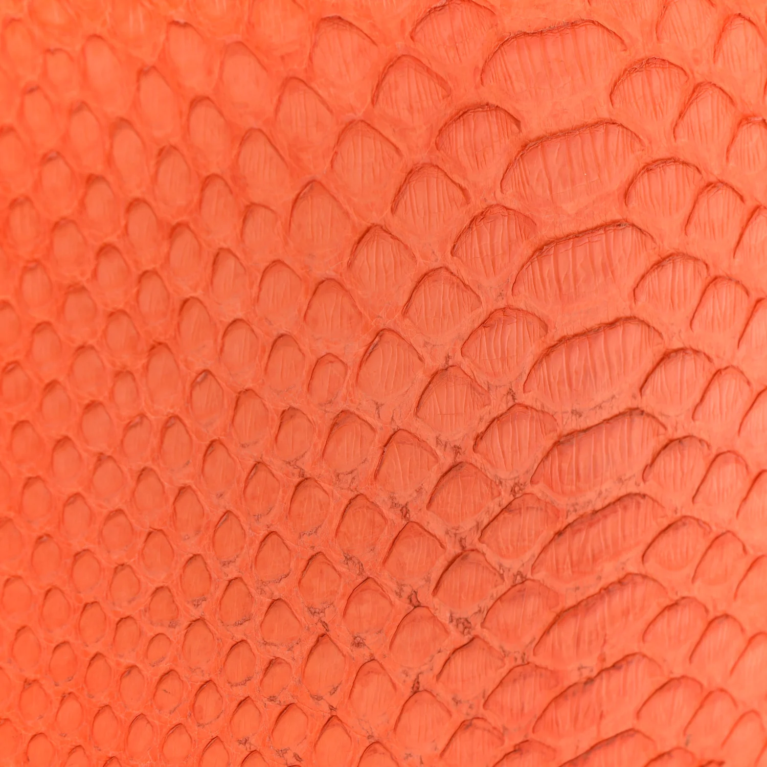 Snakeskin Medium Classic Box Flap Orange