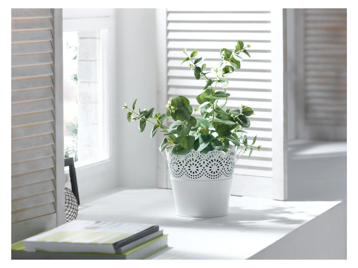 LIVARNO home Cache-pot en mtal
