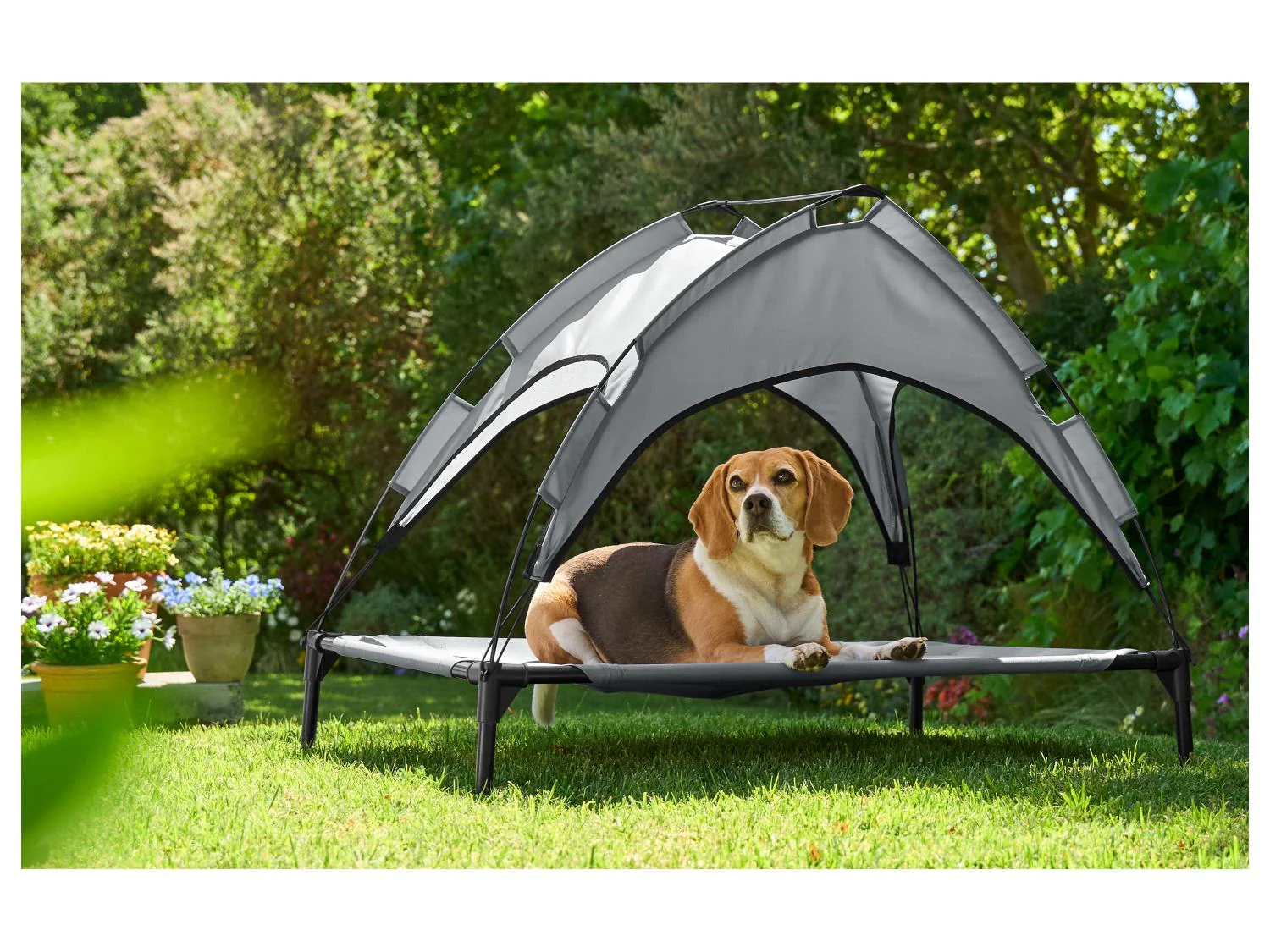 zoofari Lit de camp avec pare-soleil ou Panier pliant pour chien
