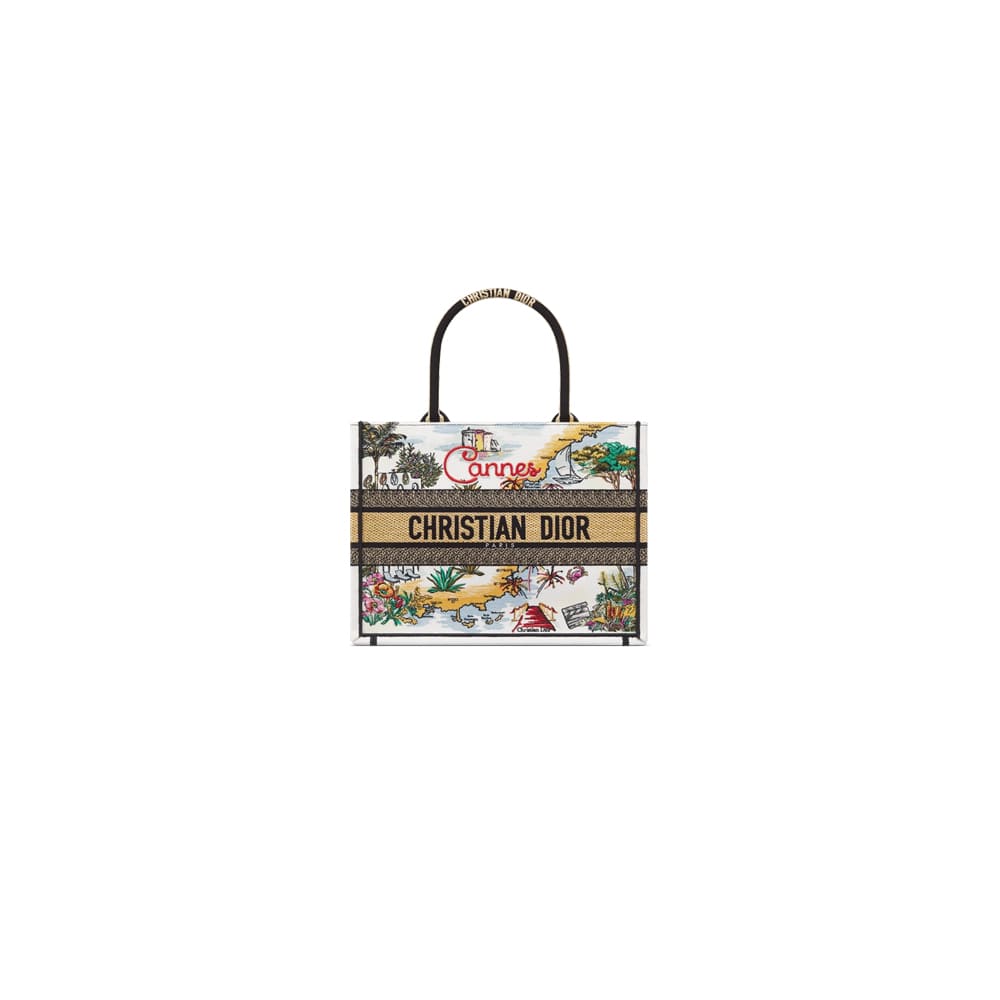 Dior Souvenir Medium Dior Book Tote