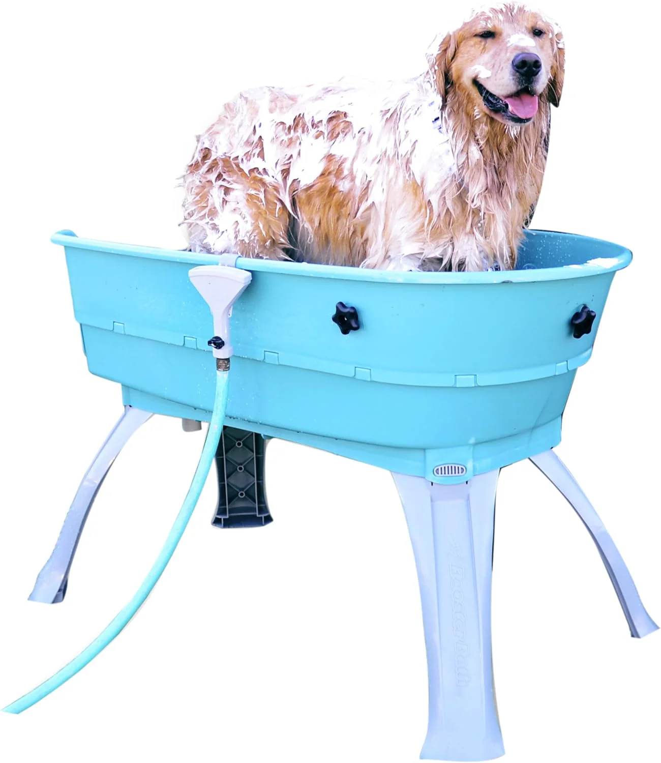 Baignoire surélevée pour animaux de compagnie, grand escalier turquoise combiné