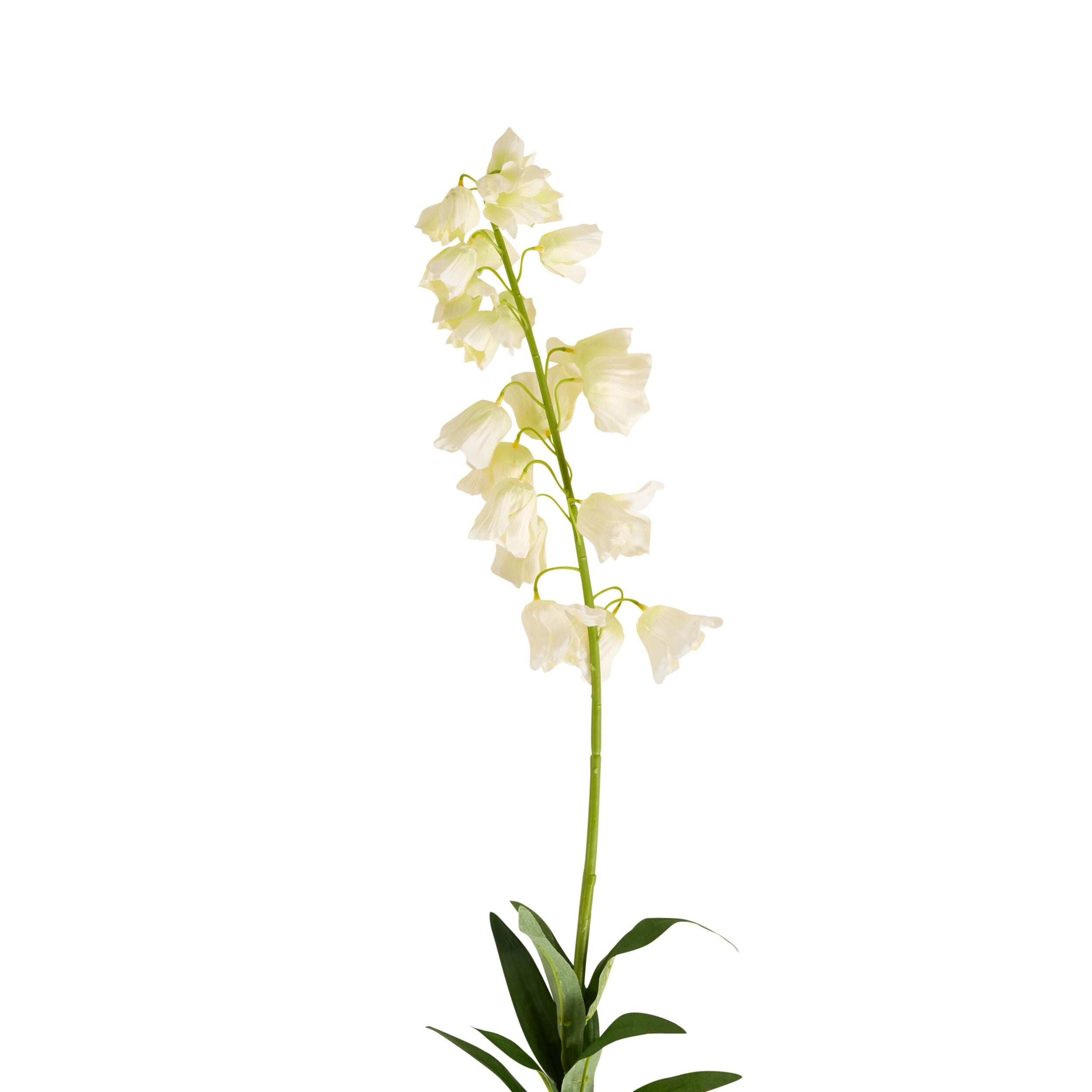 Bloomery Bellflower Stem 96cm