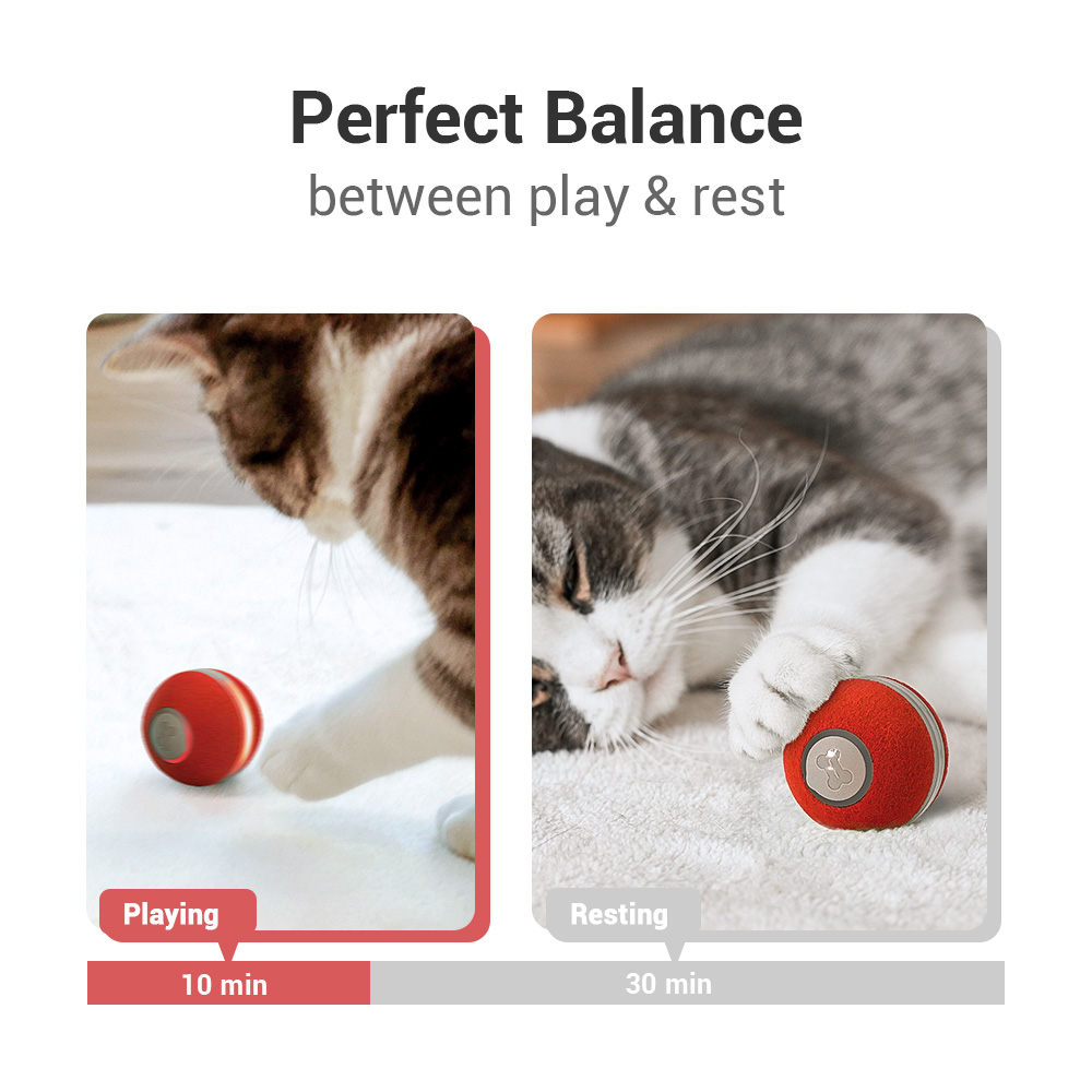 Interactive Dog & Cat Toy Modern Automatic Self-Moving Ball Active Rolling Plastic Toy