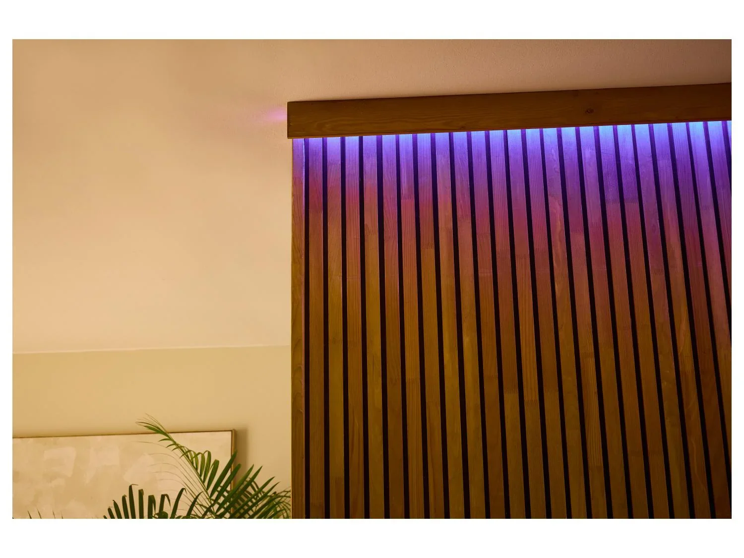 LIVARNO home Ruban  LED