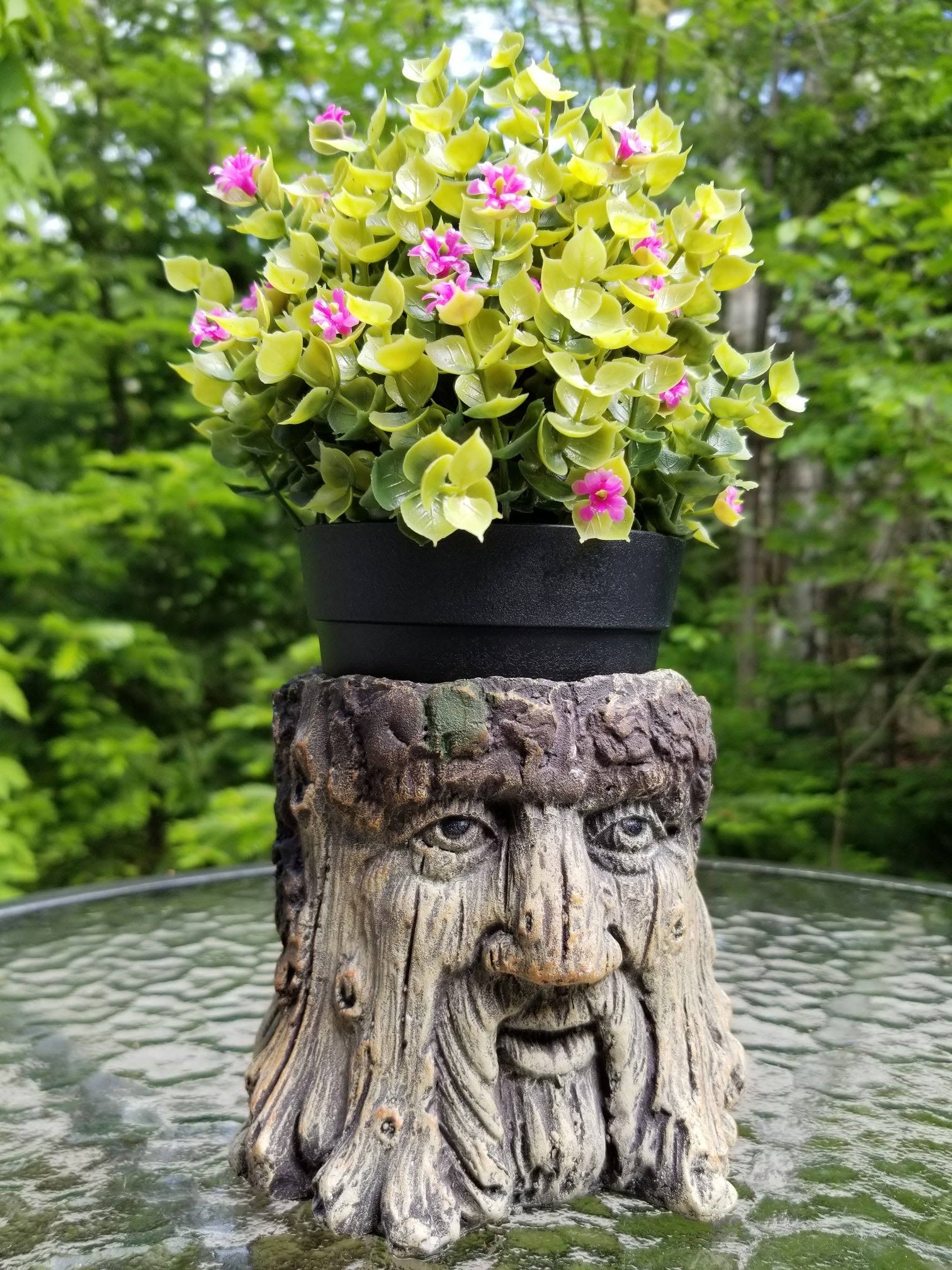 Bits and Pieces - Tree Face Garden Planter - Durable Polyresin Indoor-Outdoor Urn for Plants - Forest Inspired Whimsical
