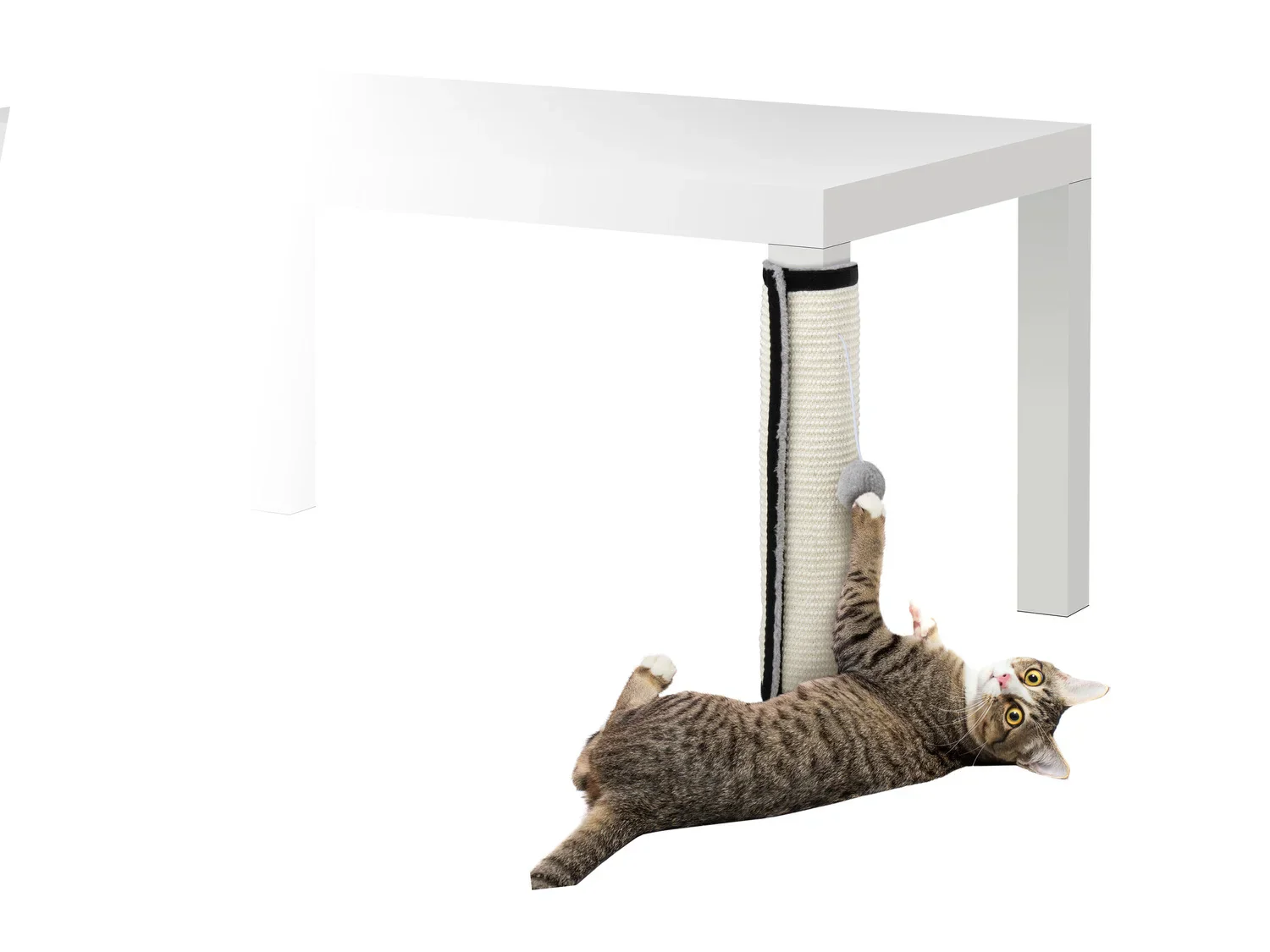 zoofari Griffoir pour chat
