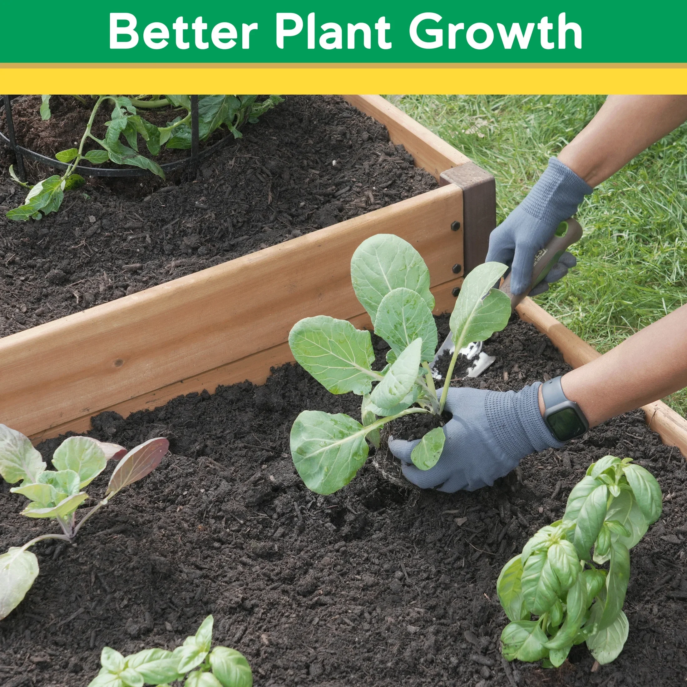 Miracle-Gro Wood 2 x 4 ft. Raised Garden Planter with Shelf