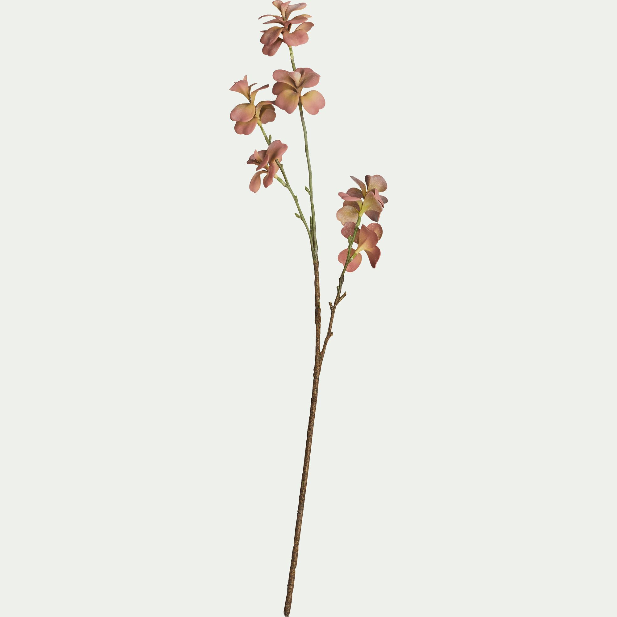 KALANCHOE - Fleur artificielle de kalanchoe - rose H78cm